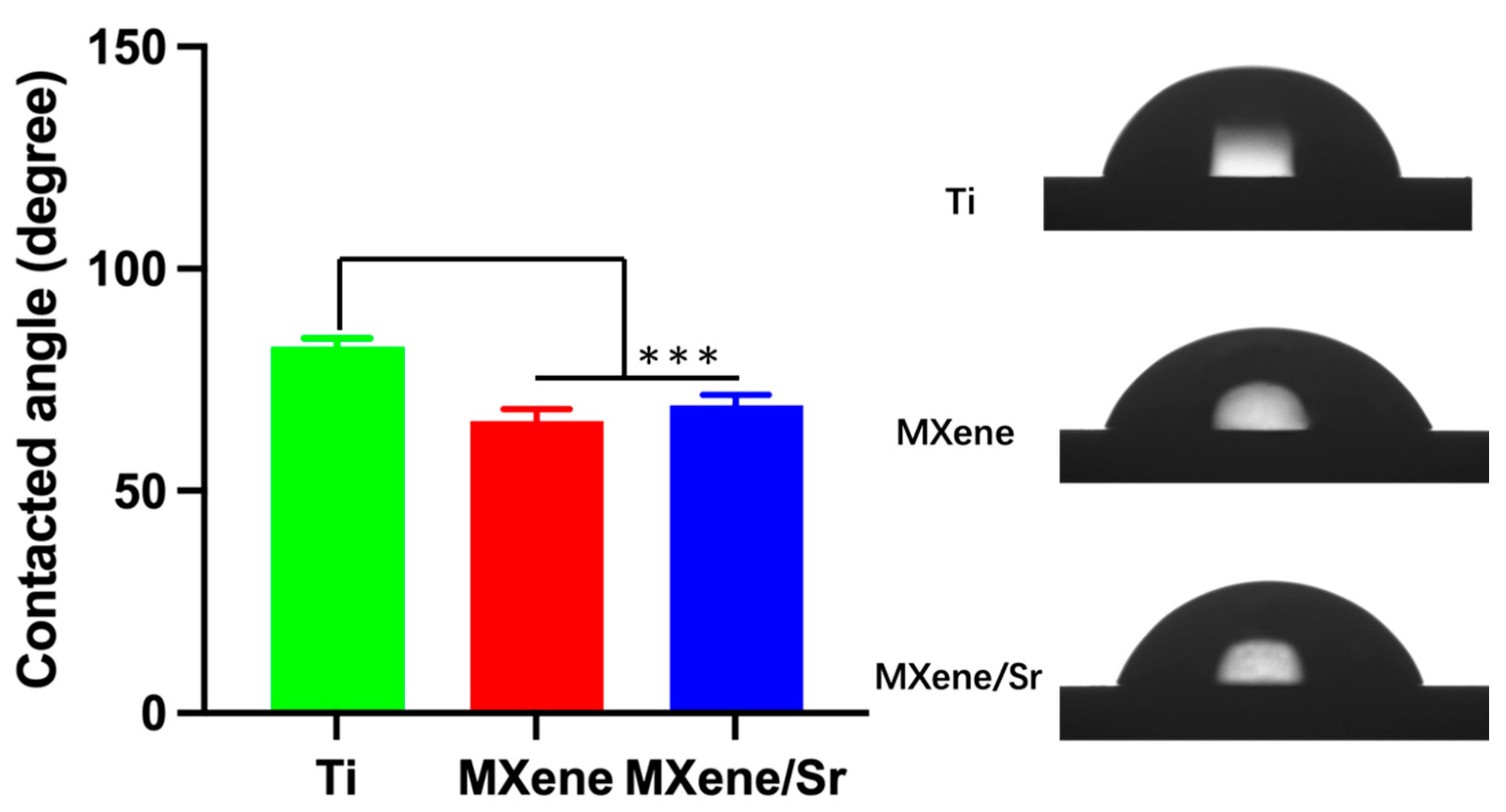 Coatings 15 00847 g004