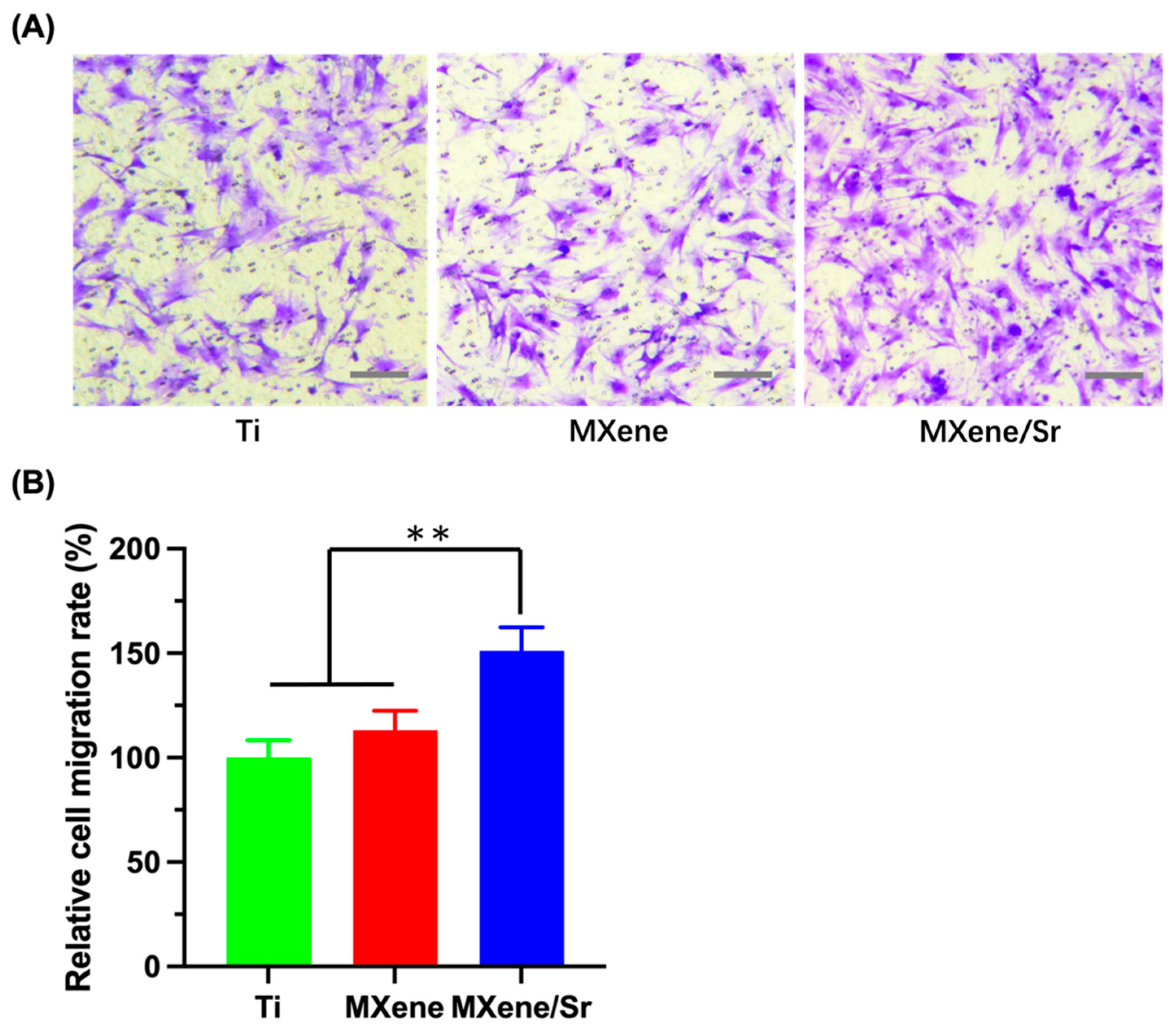 Coatings 15 00847 g007
