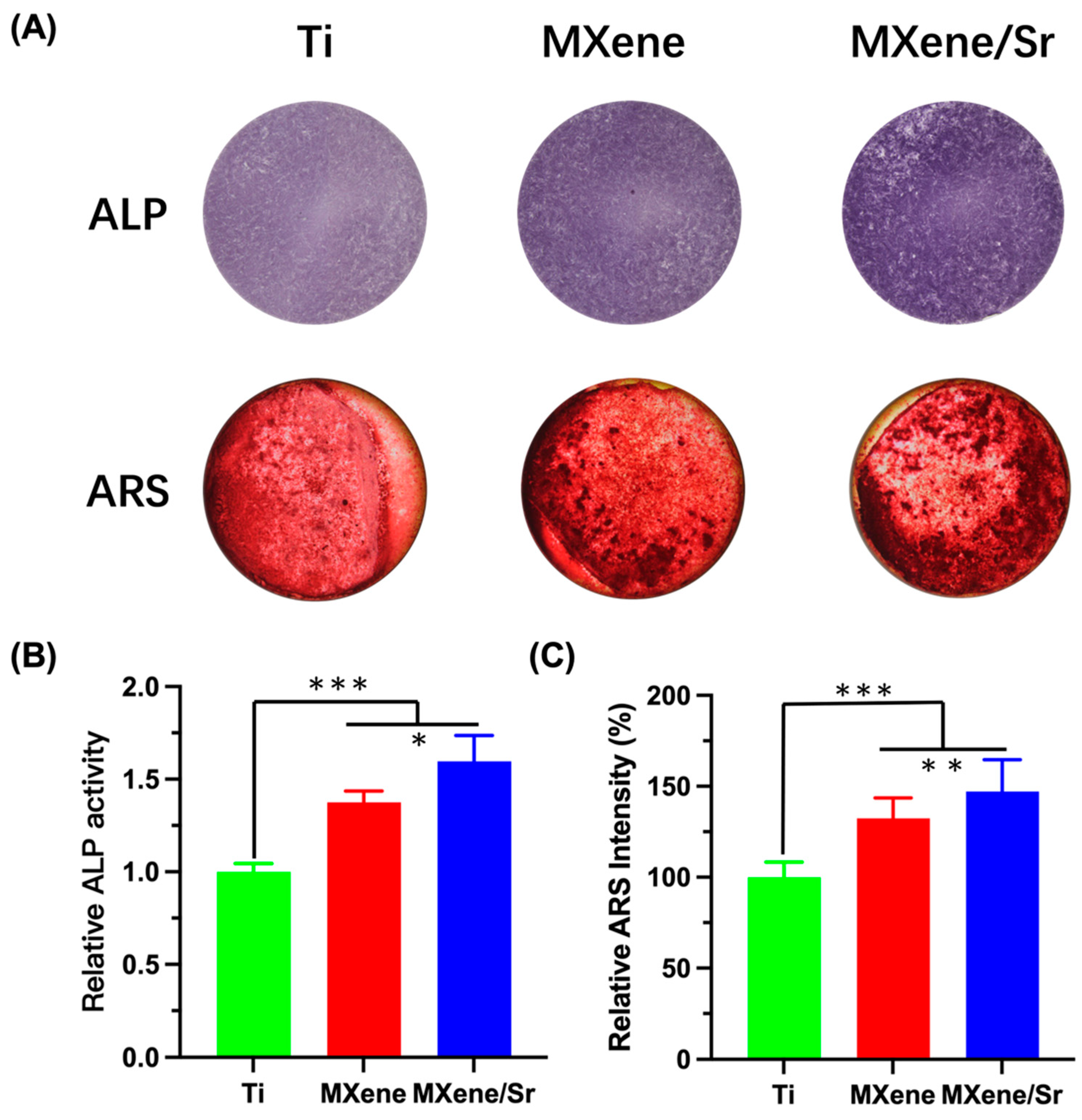 Coatings 15 00847 g008