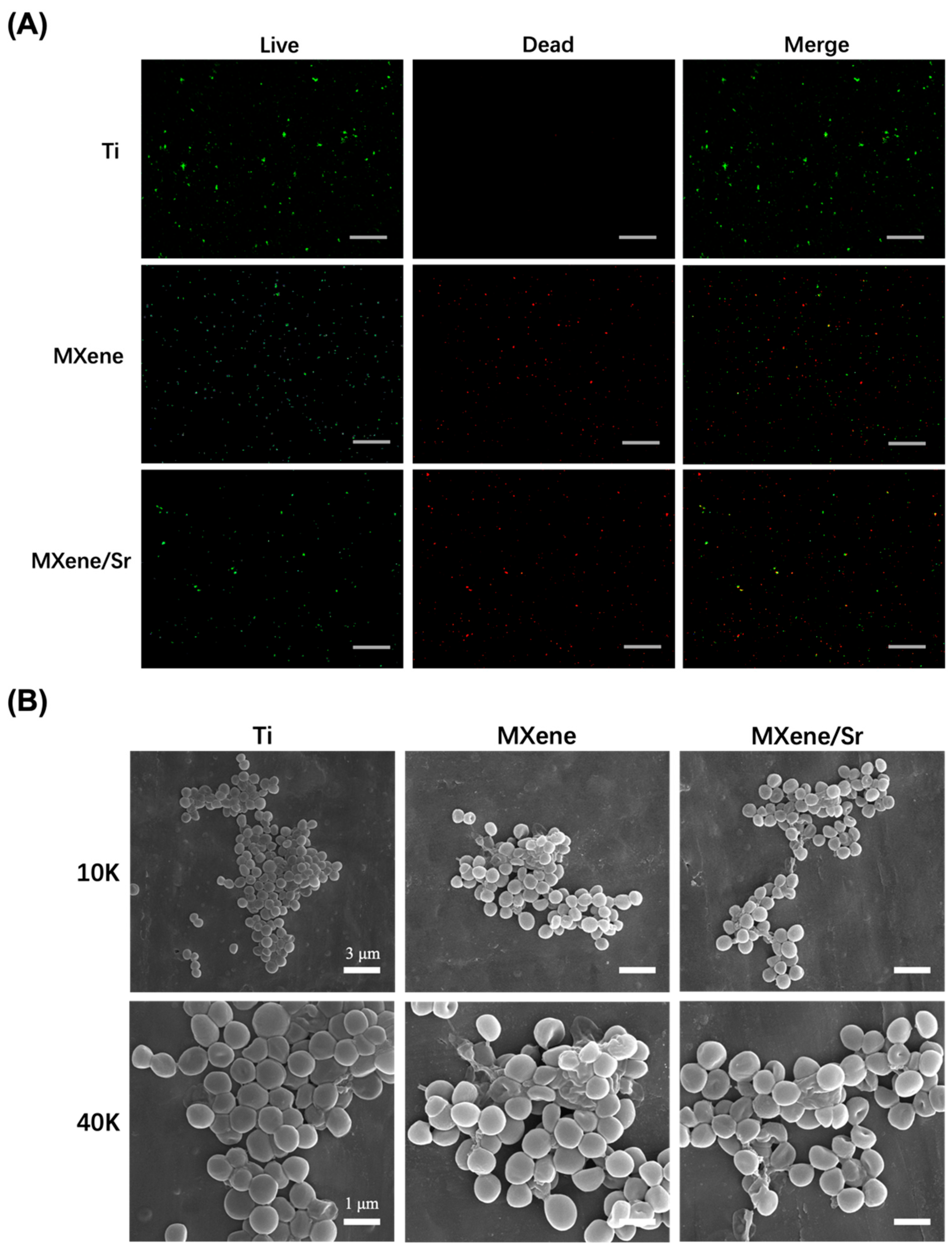 Coatings 15 00847 g009