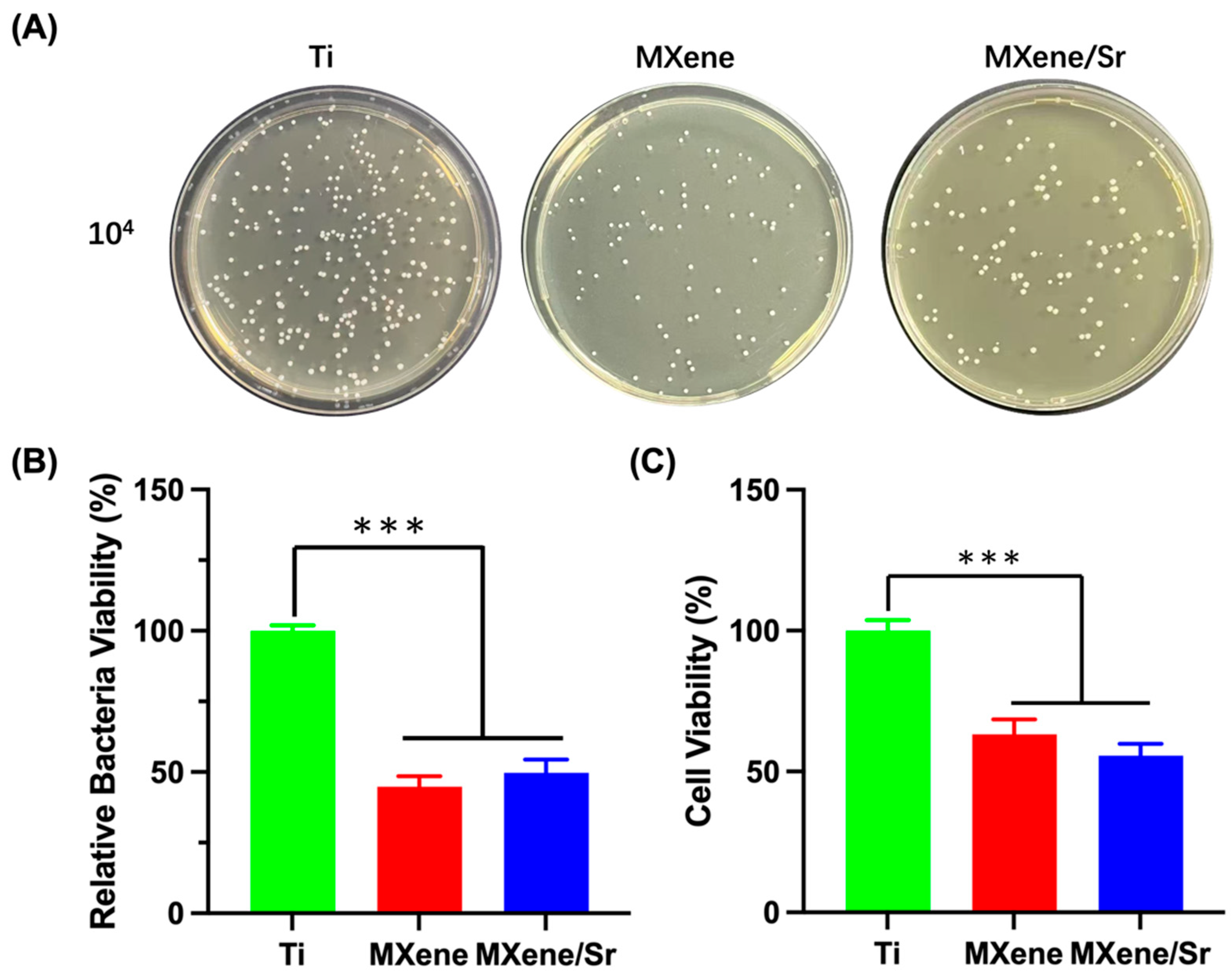 Coatings 15 00847 g010