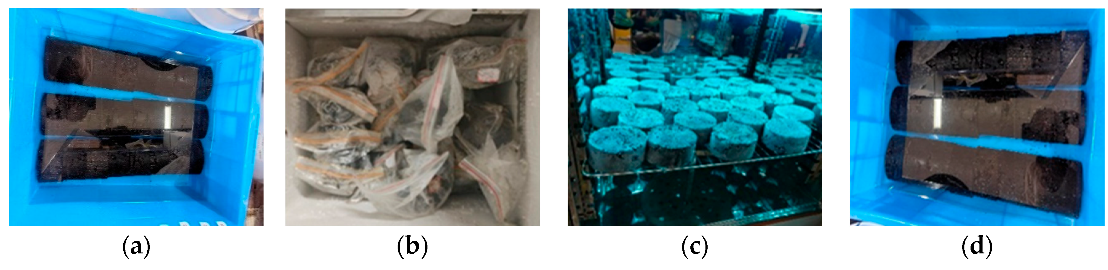 Coatings 15 00849 g003