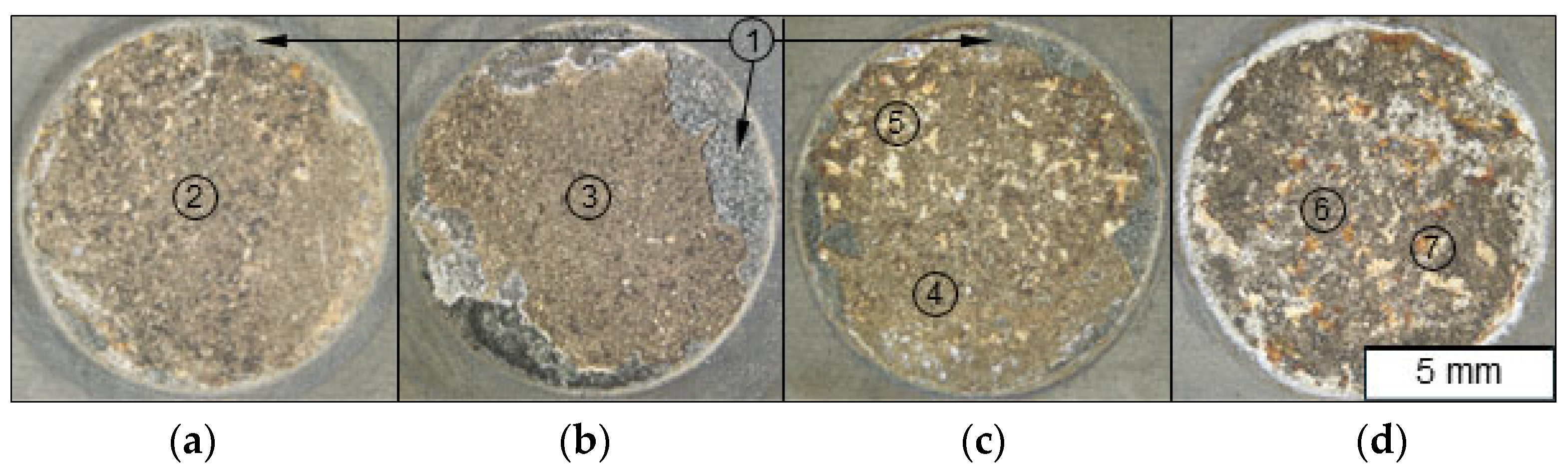Coatings 15 00850 g005