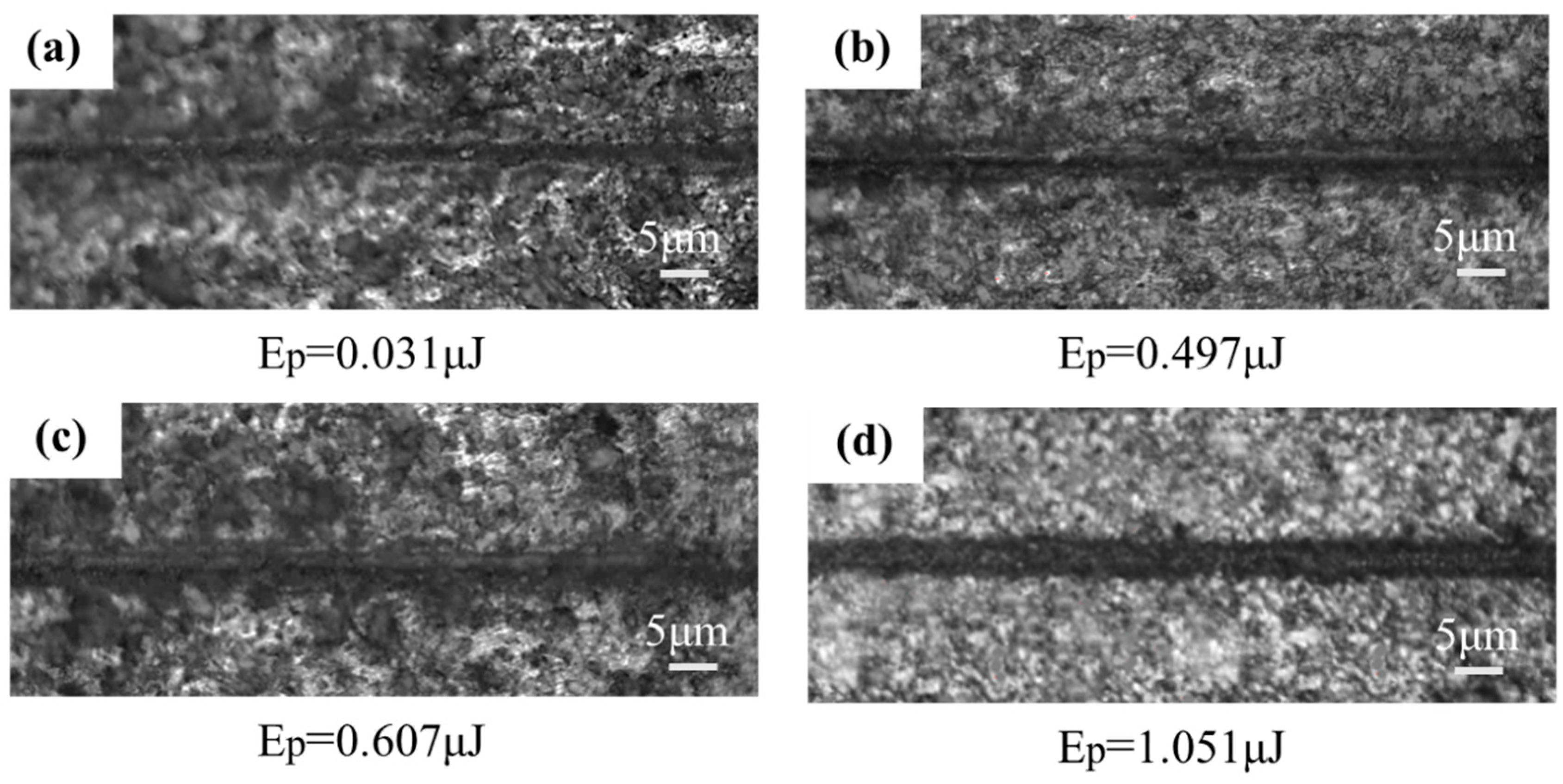 Coatings 15 00853 g008
