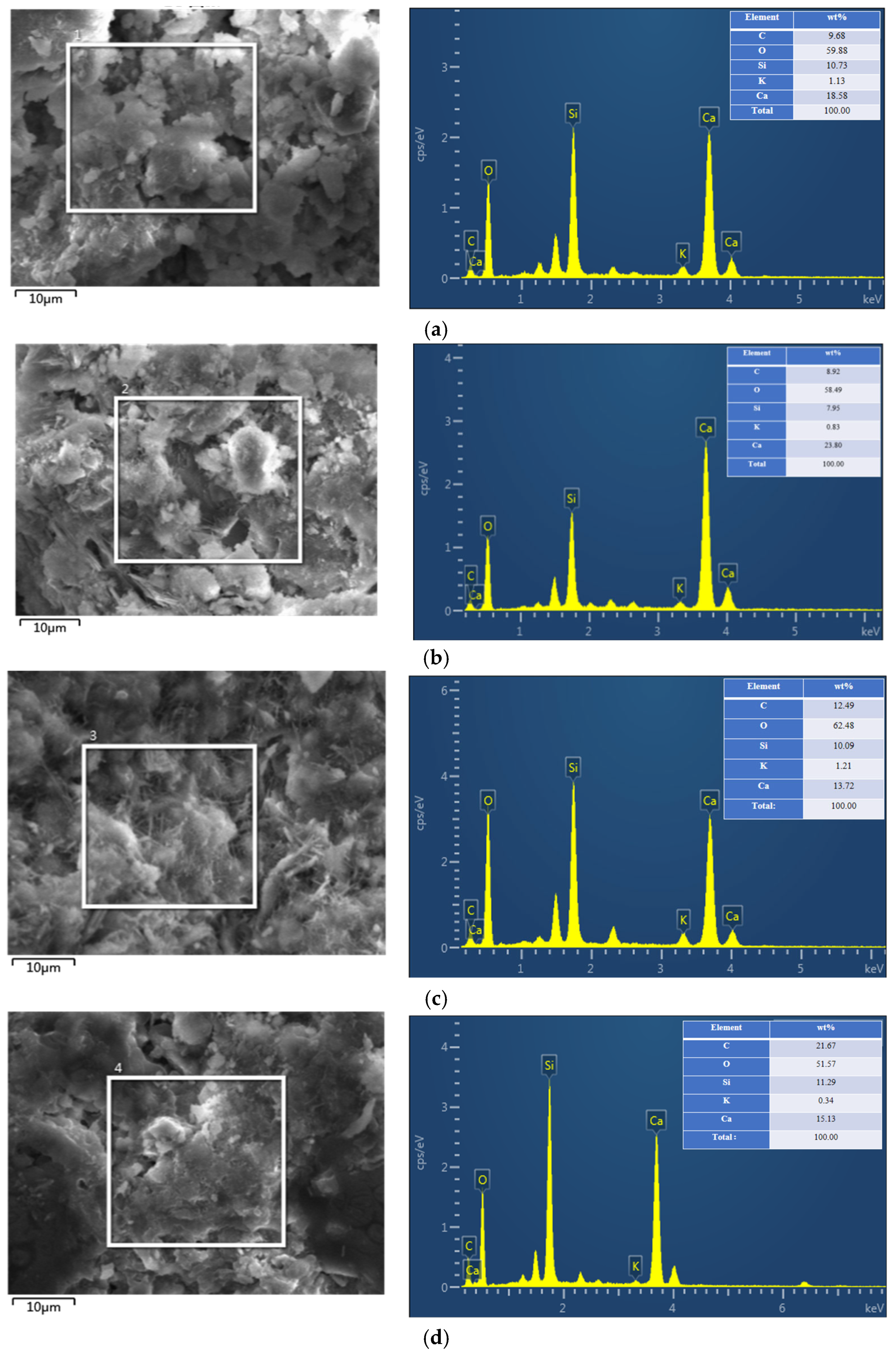 Coatings 15 00854 g018