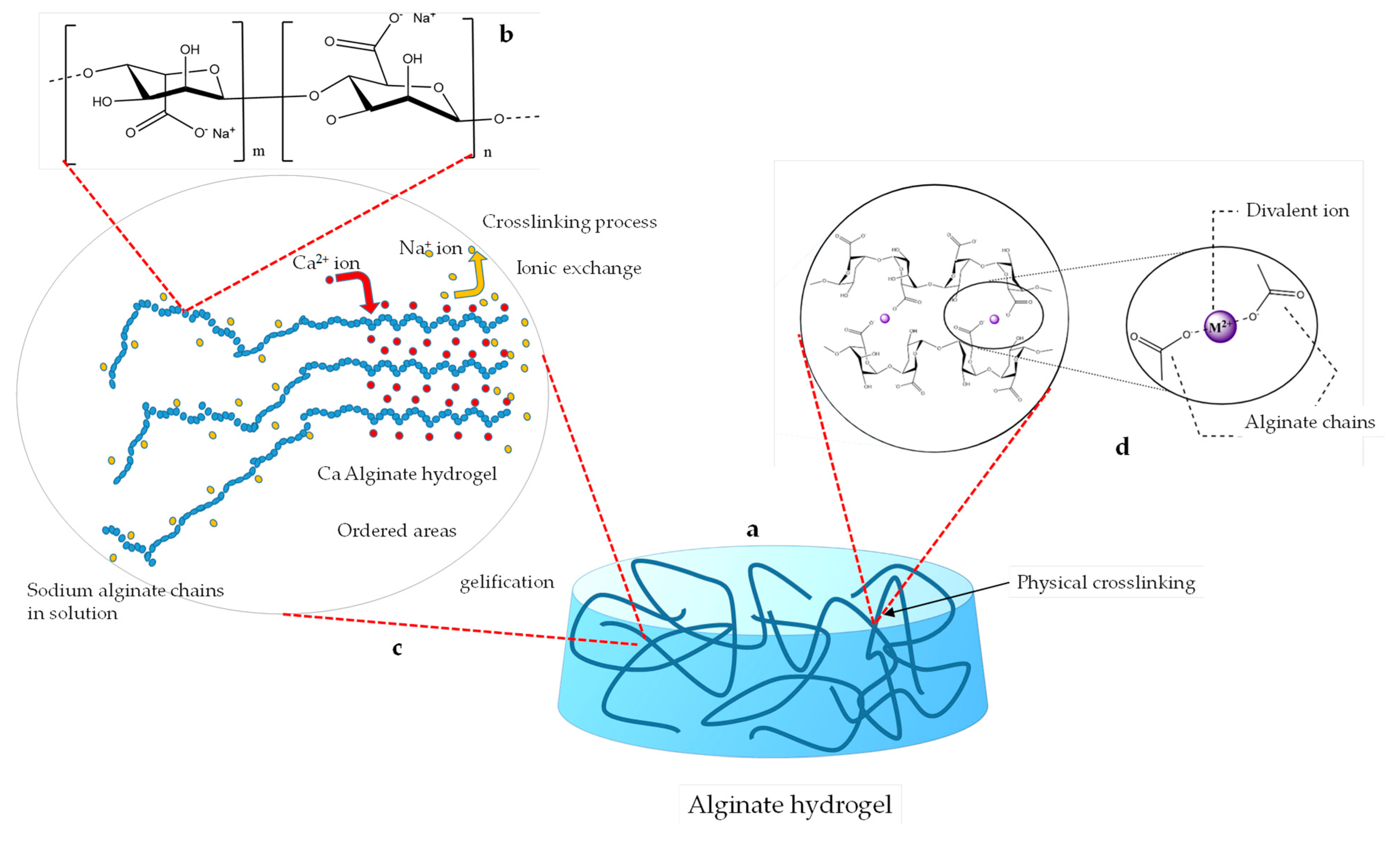 Coatings 15 00859 g001