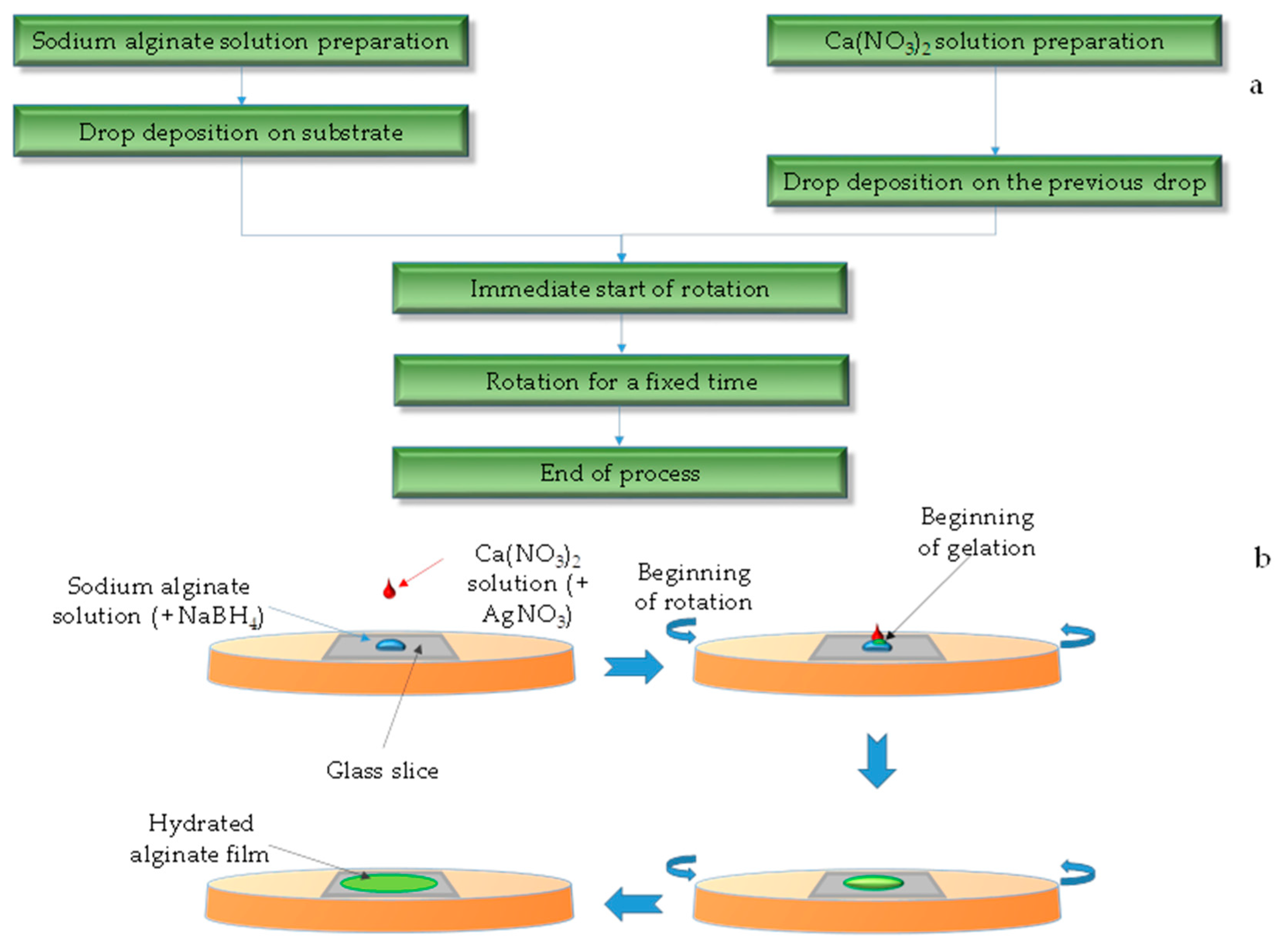 Coatings 15 00859 g002