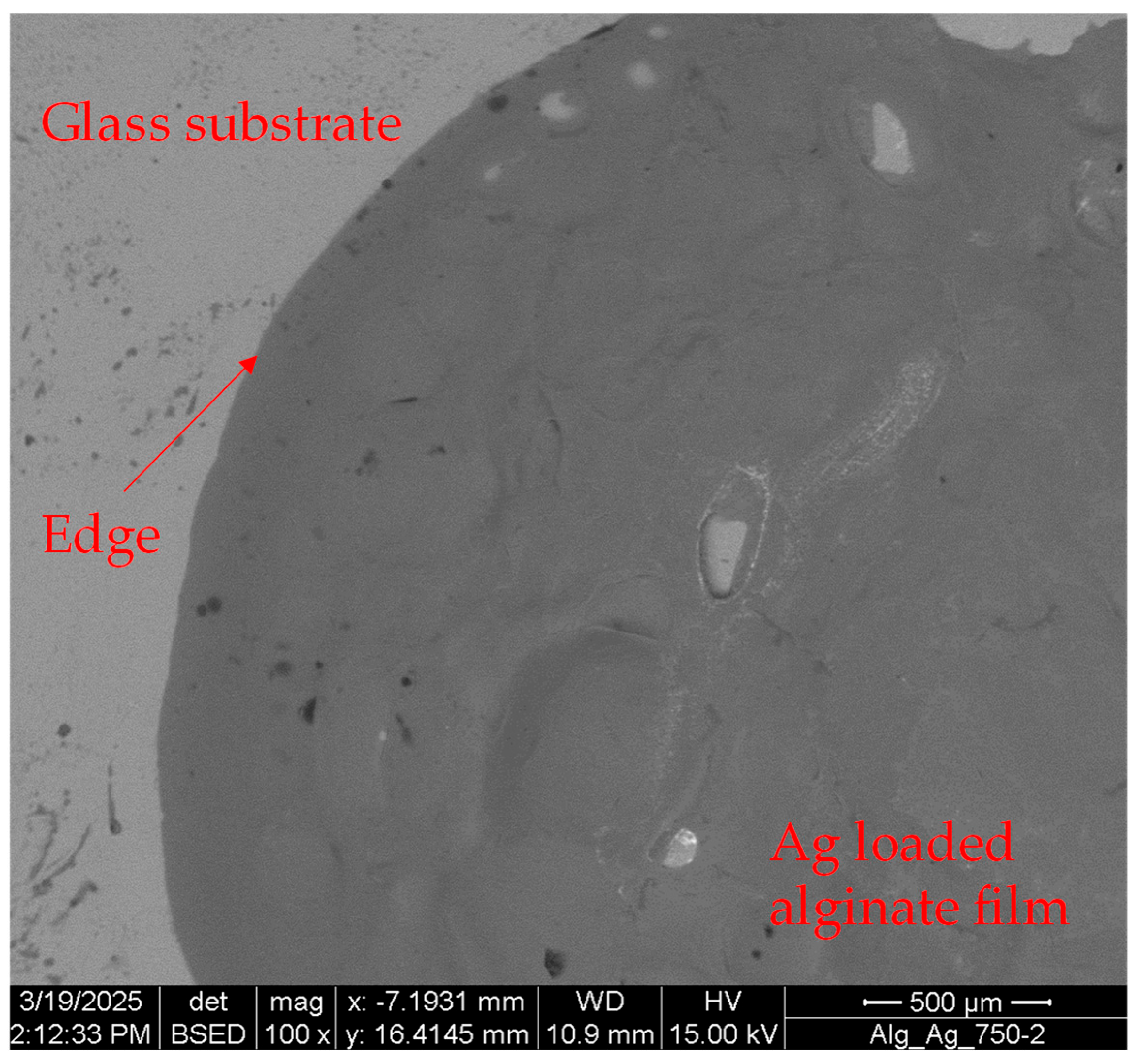 Coatings 15 00859 g007