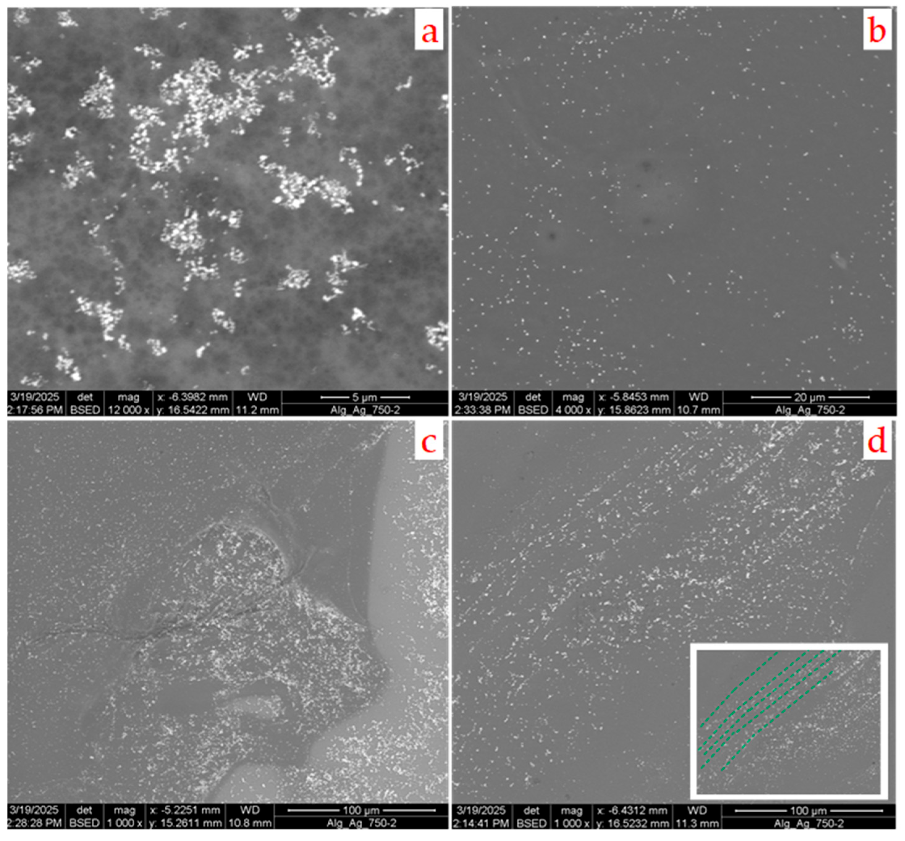 Coatings 15 00859 g008