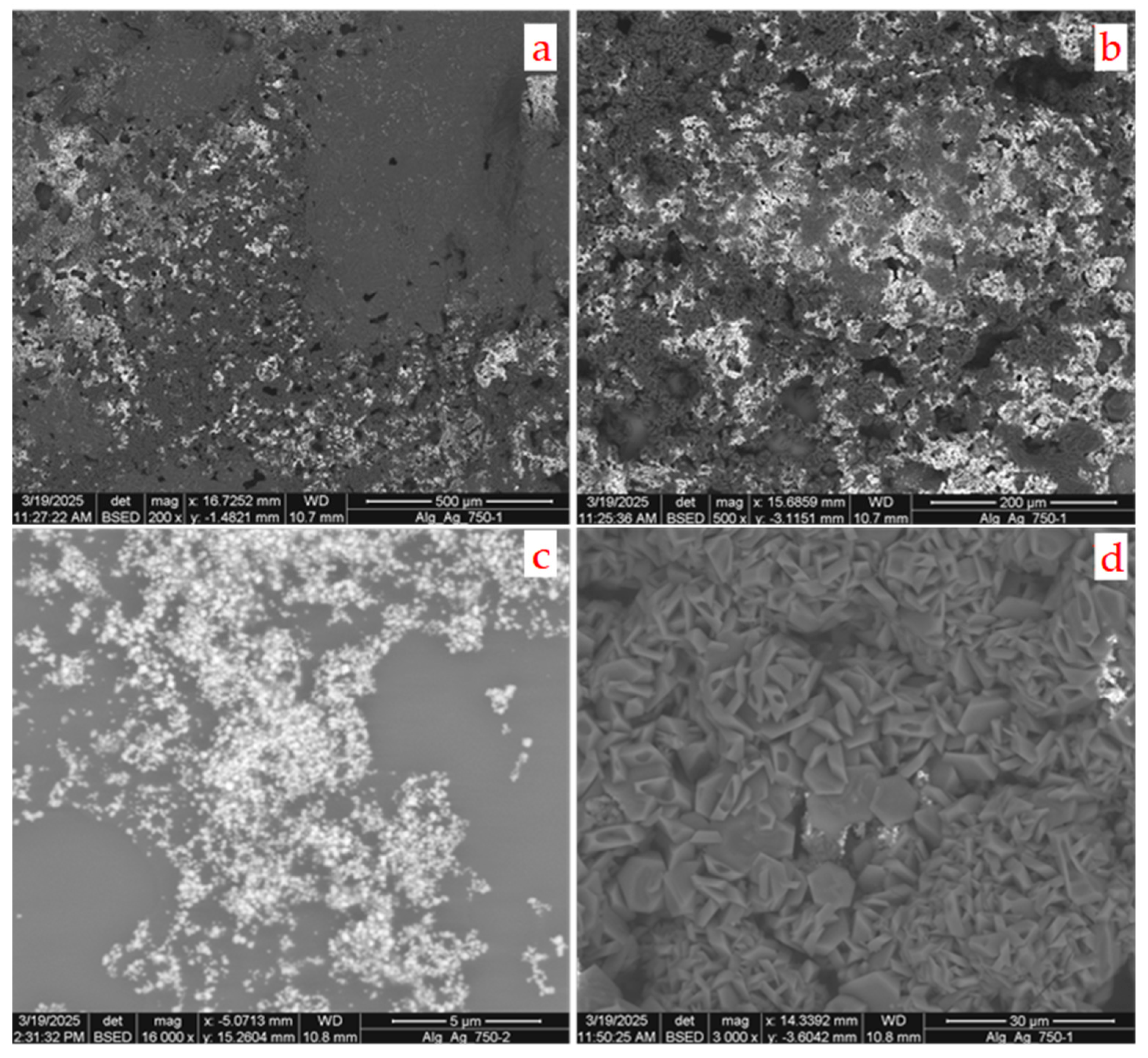 Coatings 15 00859 g011