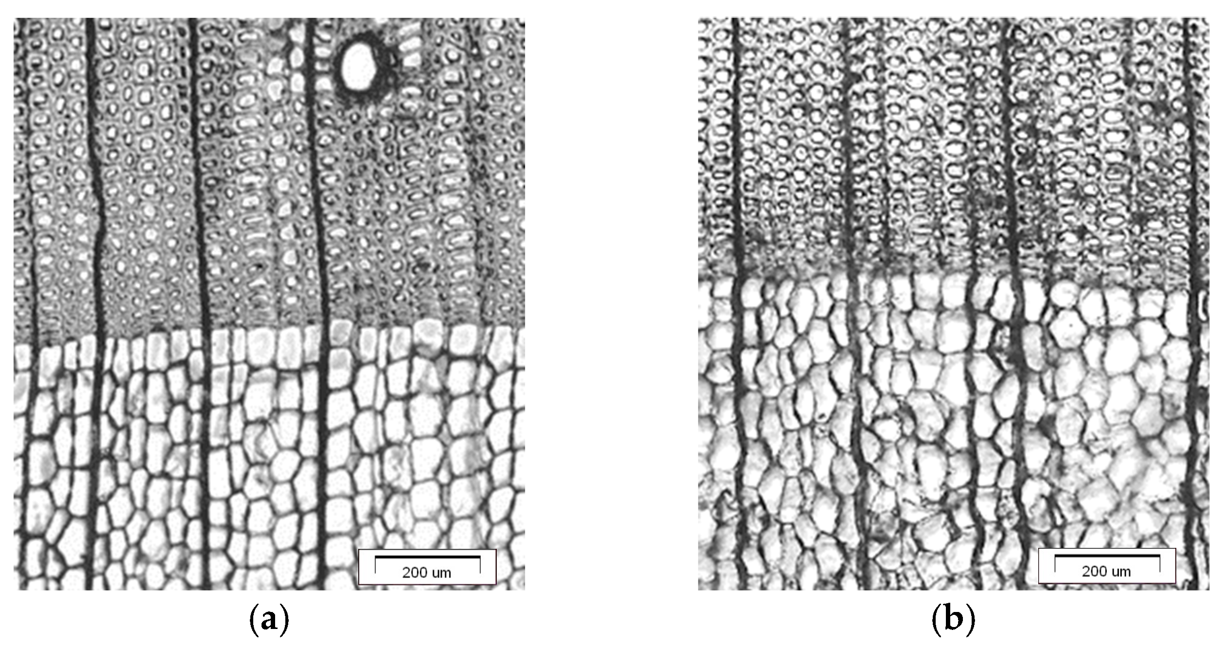 Coatings 15 00860 g002 Coatings 15 00860 g002