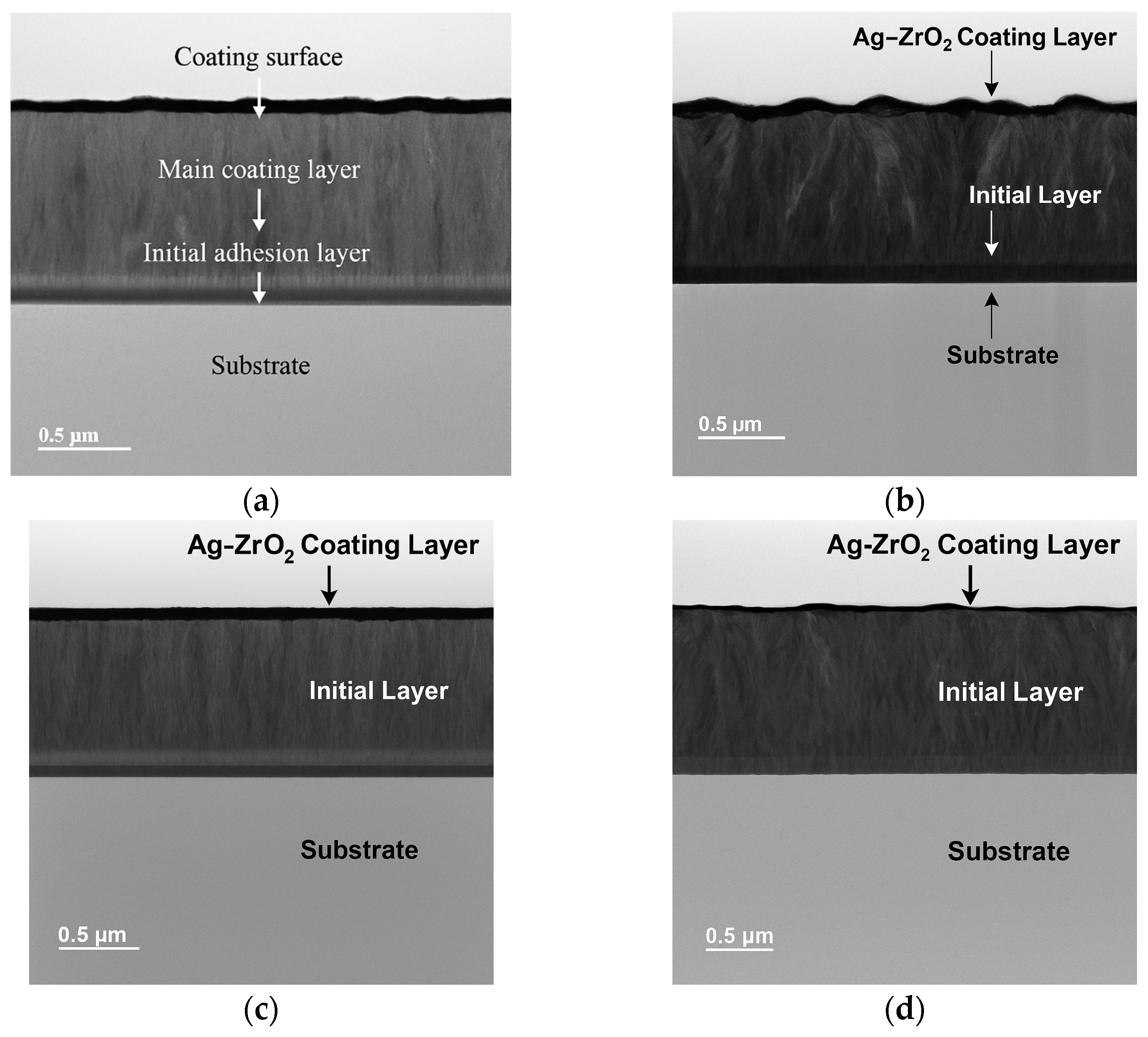 Coatings 15 00862 g002