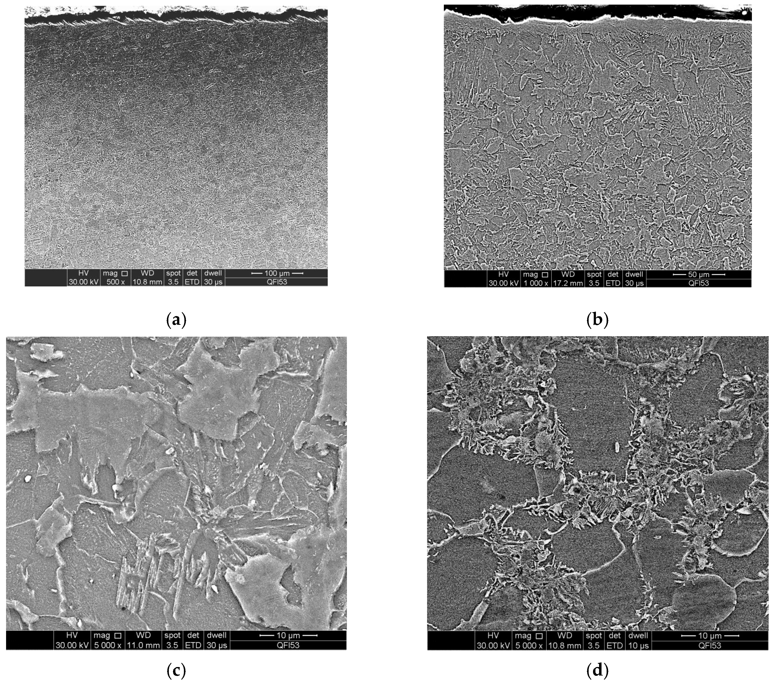 Coatings 15 00866 g010 Coatings 15 00866 g010