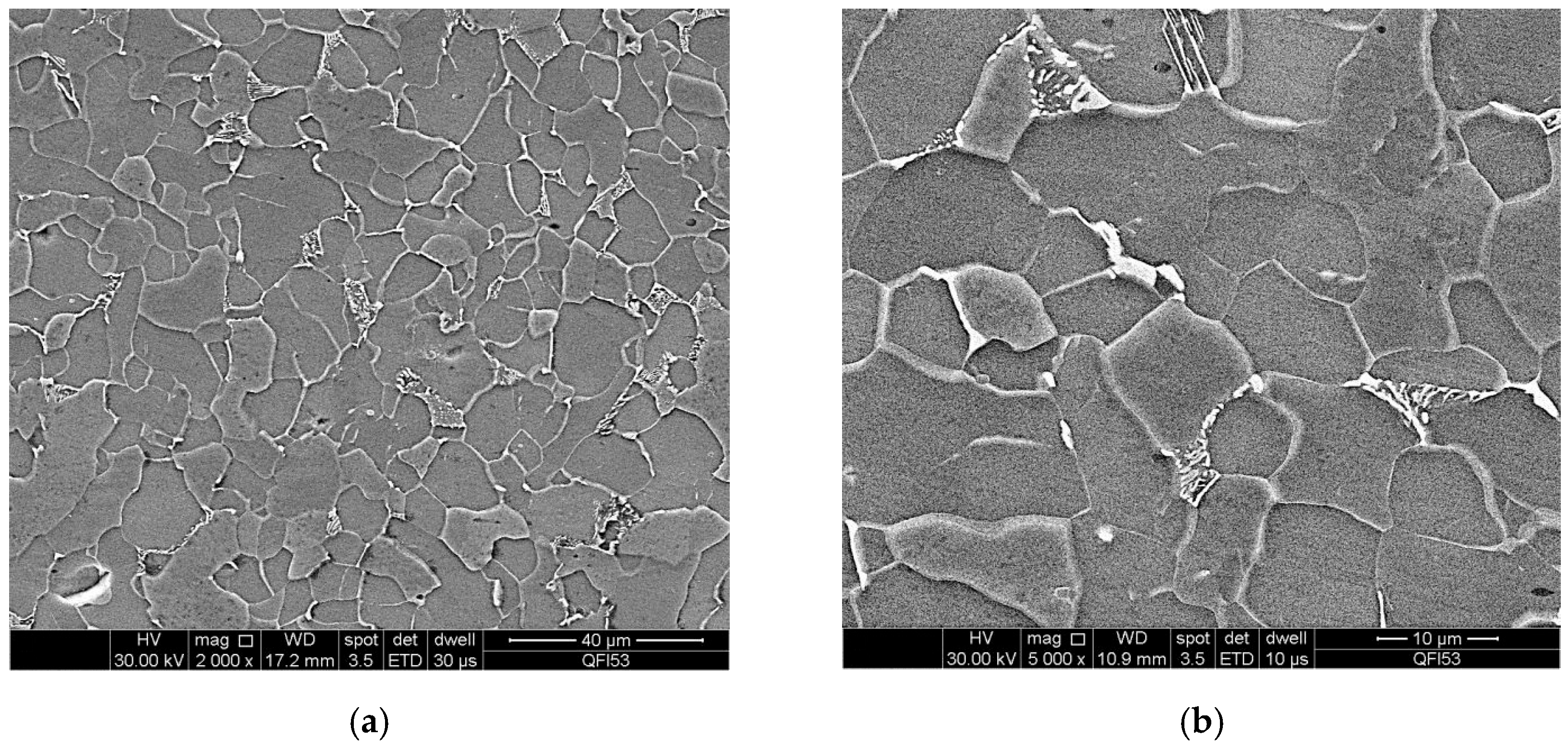 Coatings 15 00866 g011 Coatings 15 00866 g011