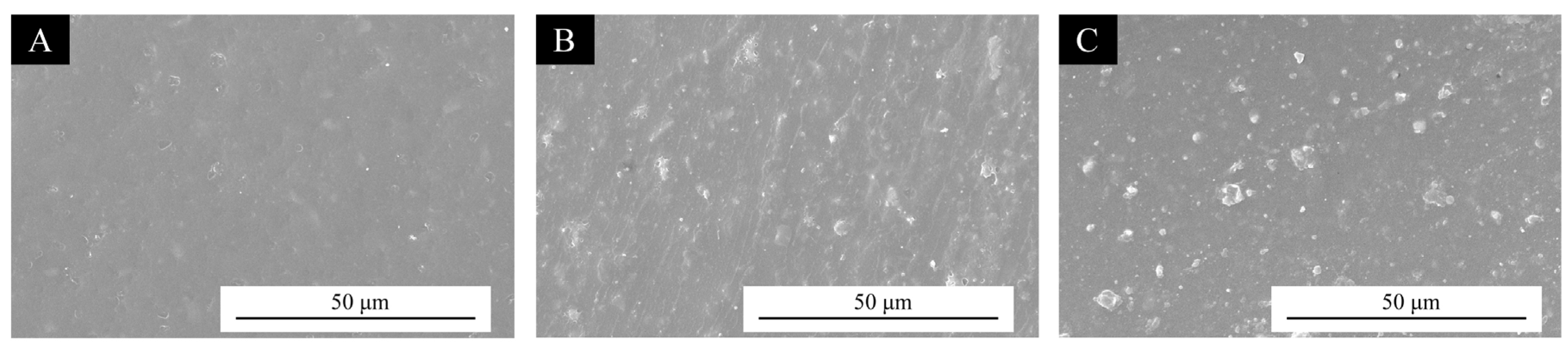 Coatings 15 00867 g004
