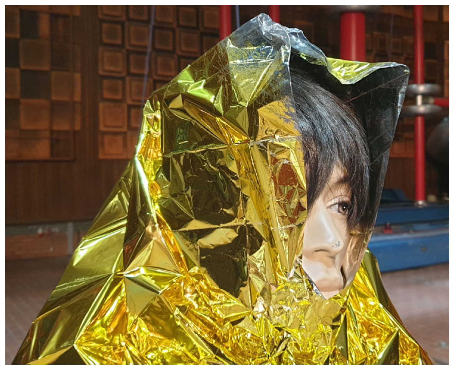 Coatings 15 00868 g003