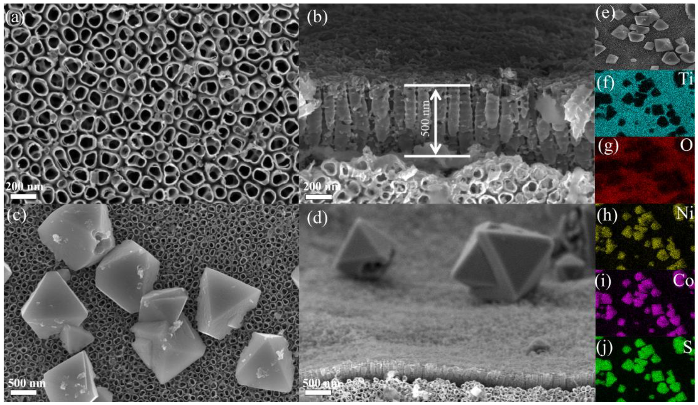 Coatings 15 00874 g003