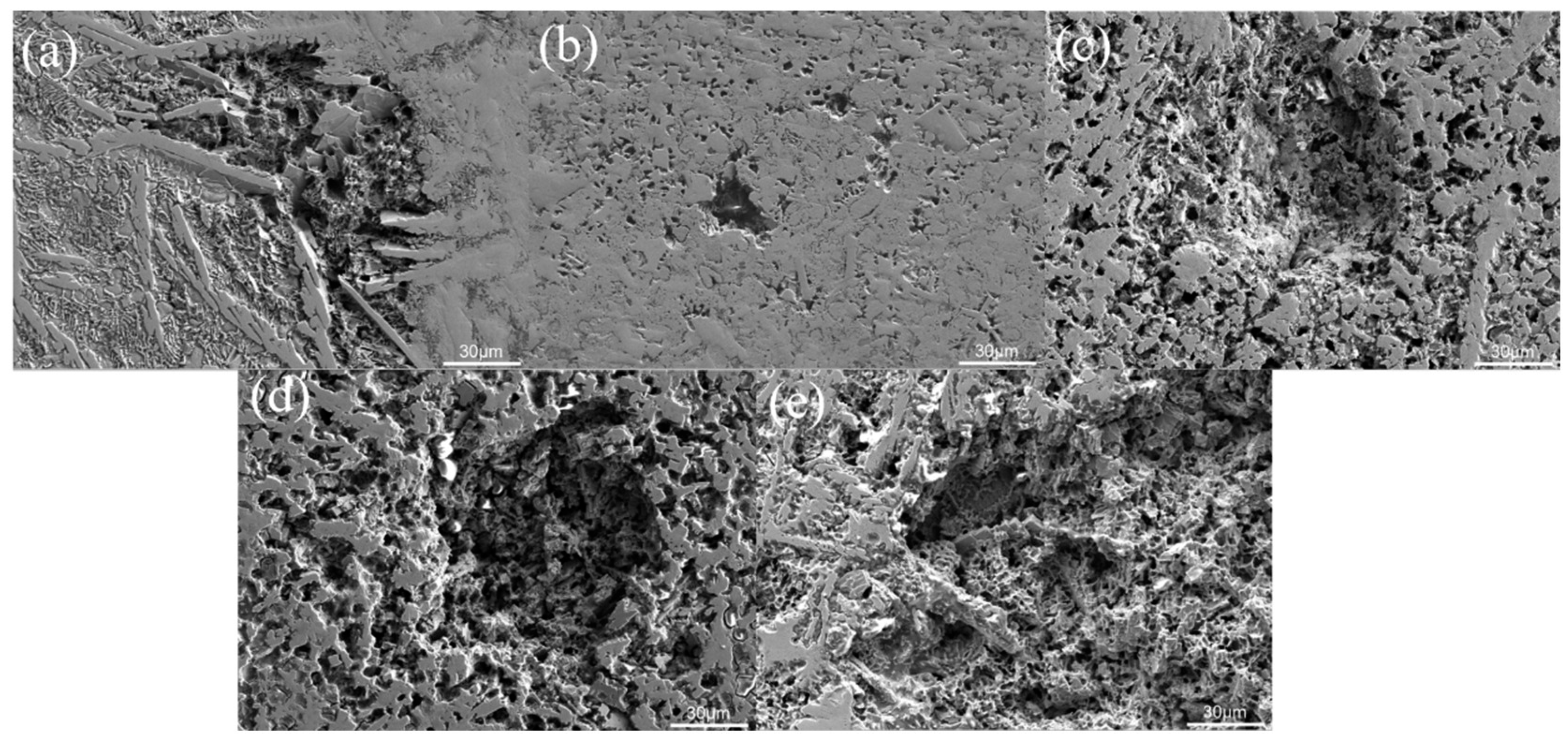 Coatings 15 00878 g001