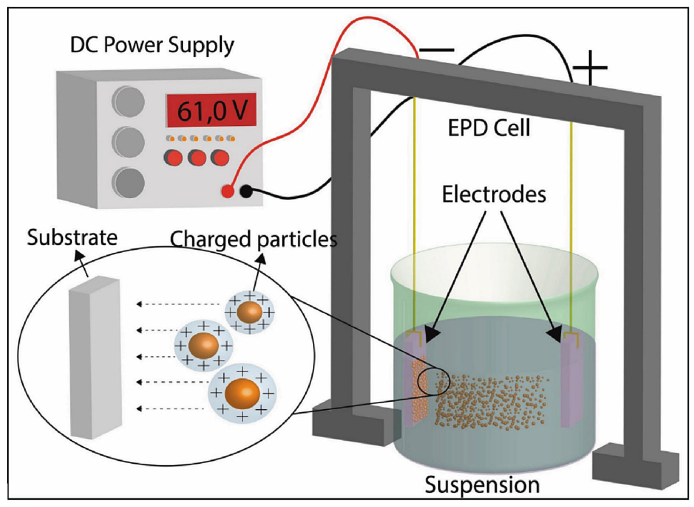Coatings 15 00878 g006