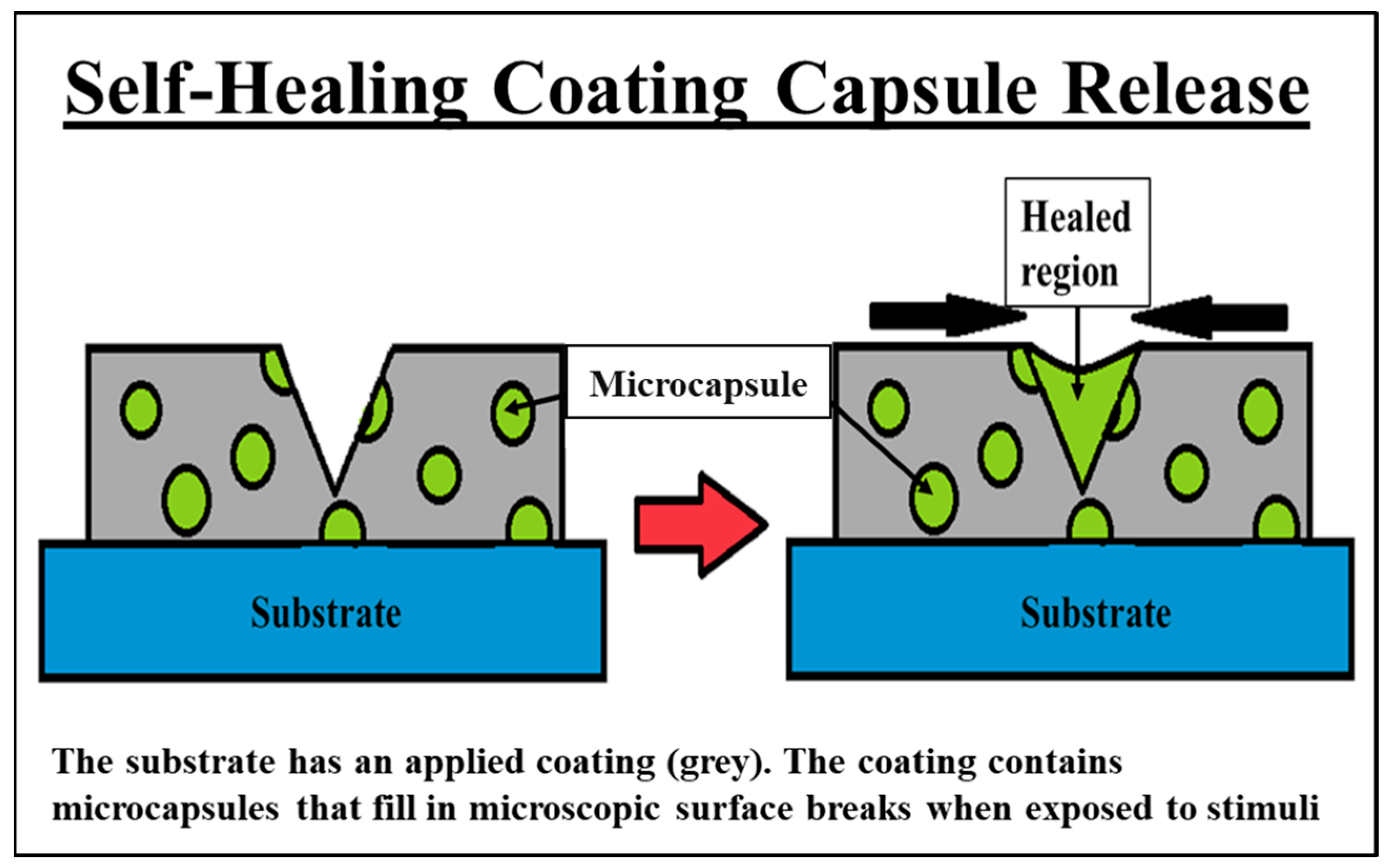 Coatings 15 00878 g007
