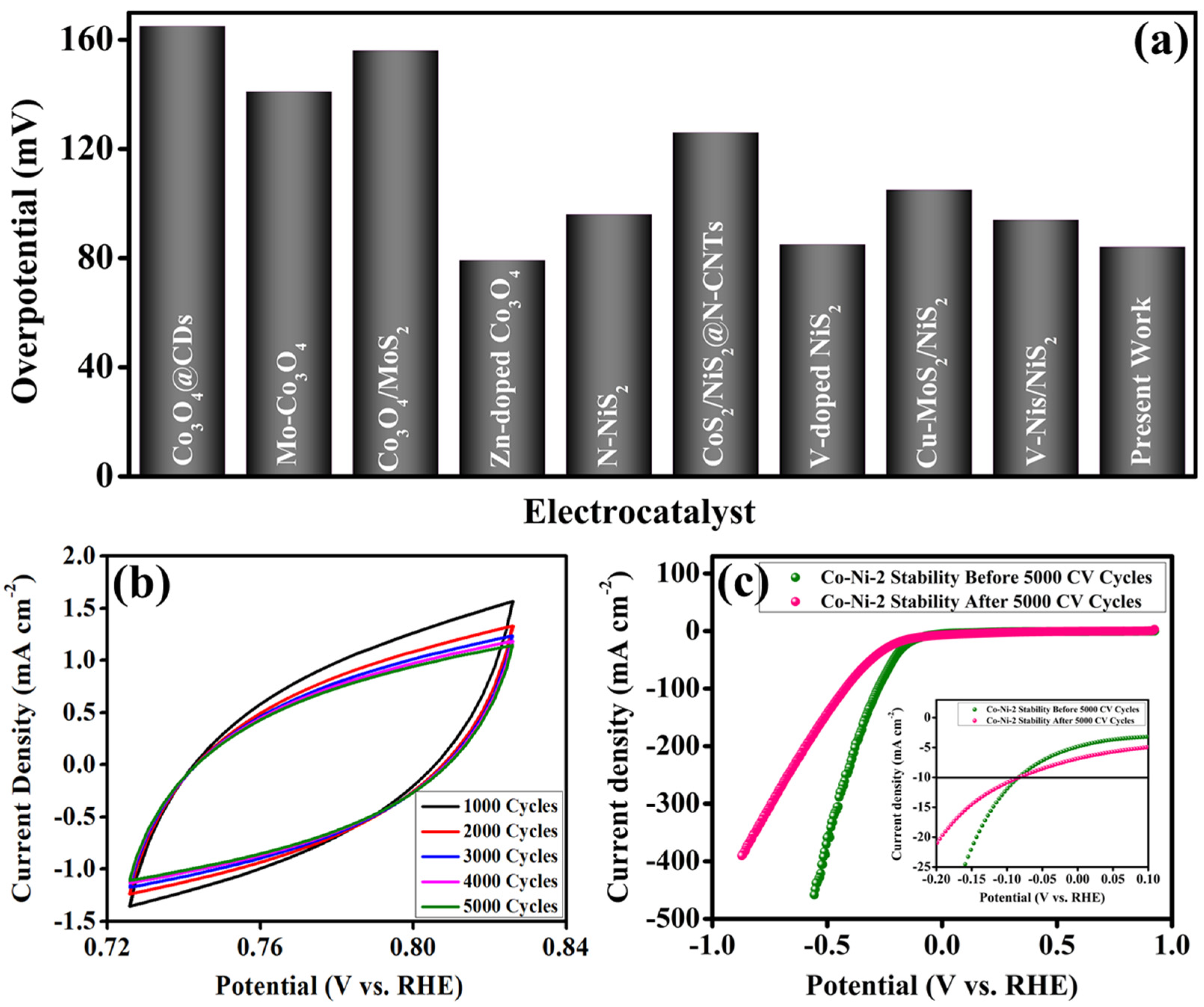 Coatings 15 00887 g005