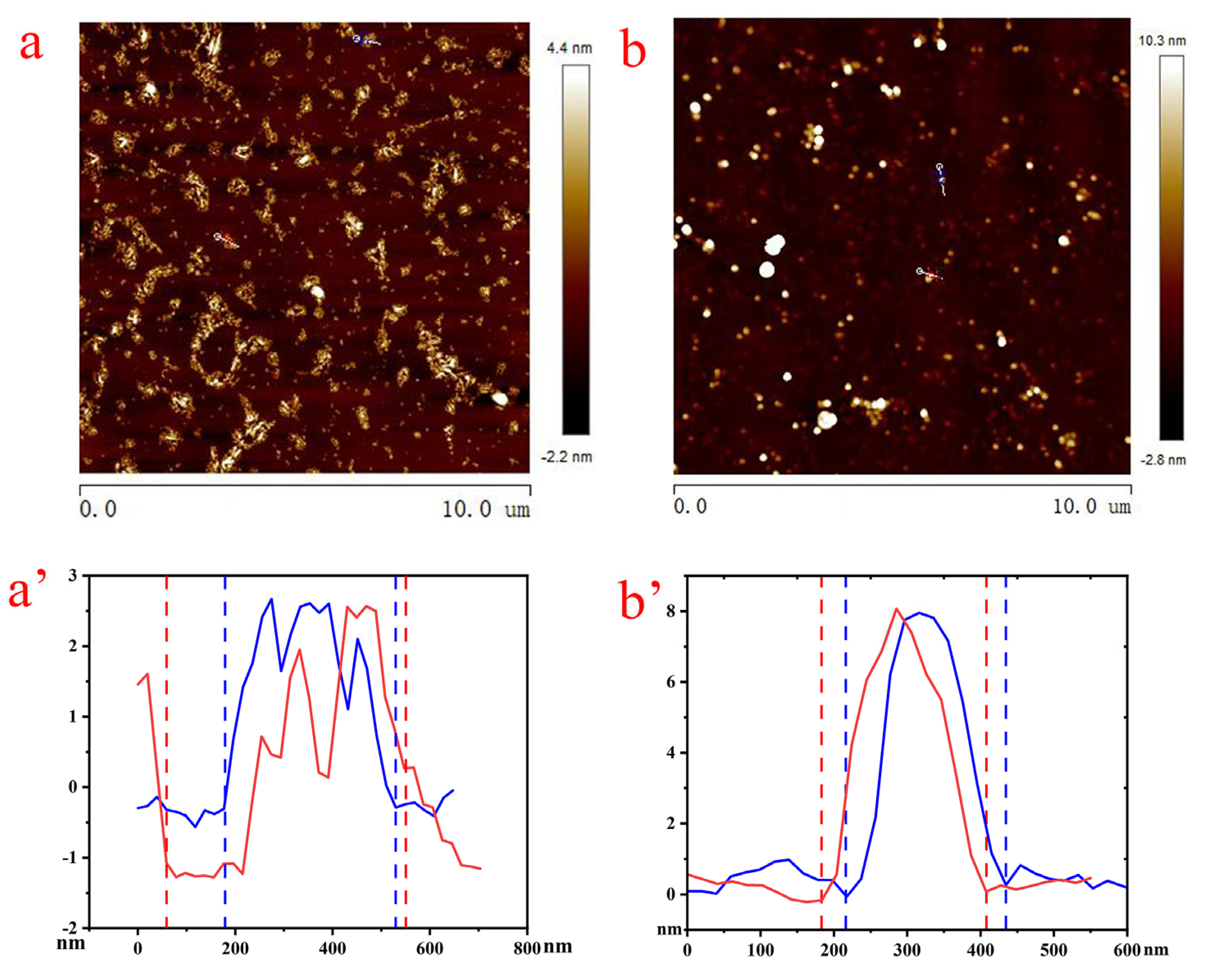 Coatings 15 00890 g002