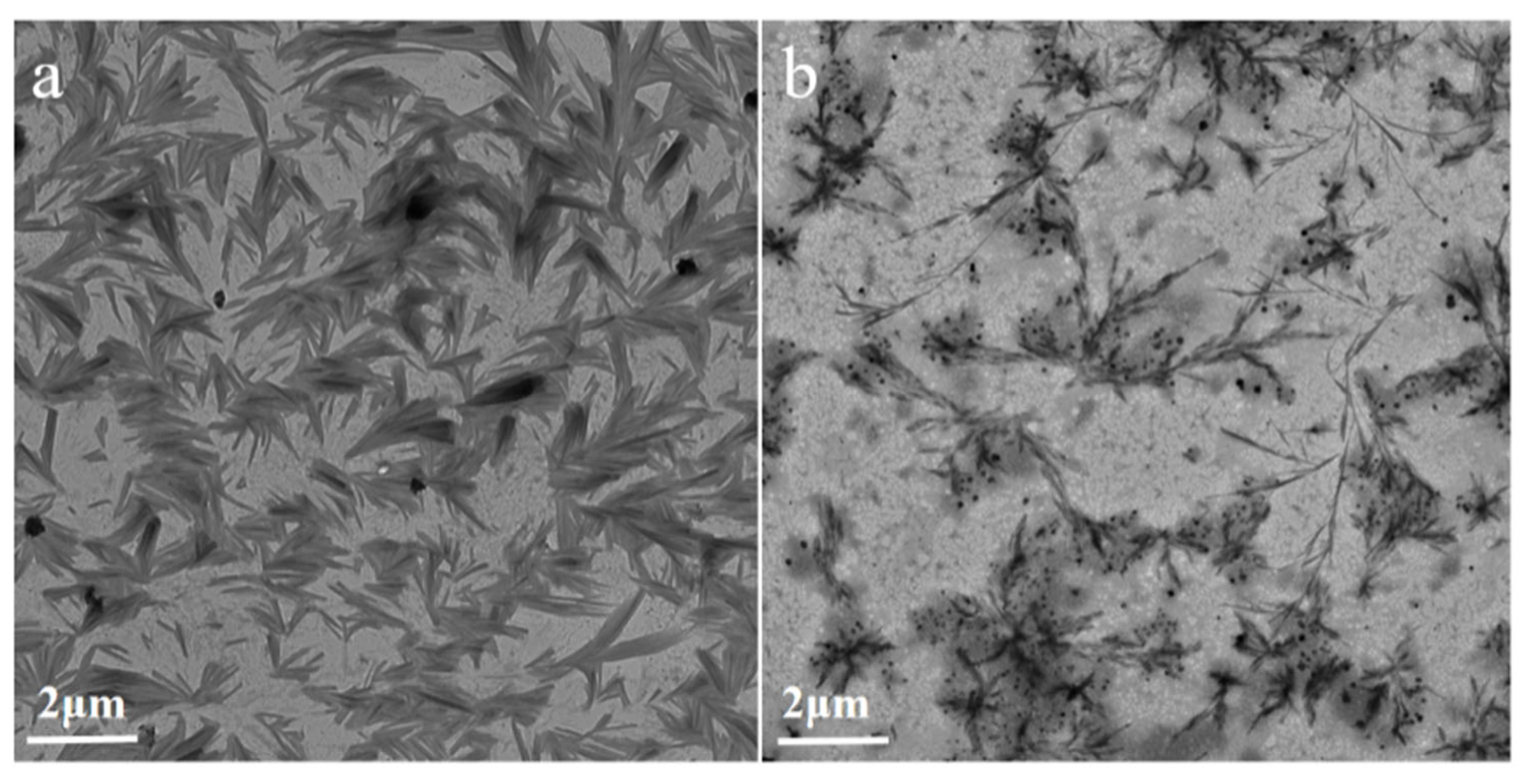 Coatings 15 00890 g003