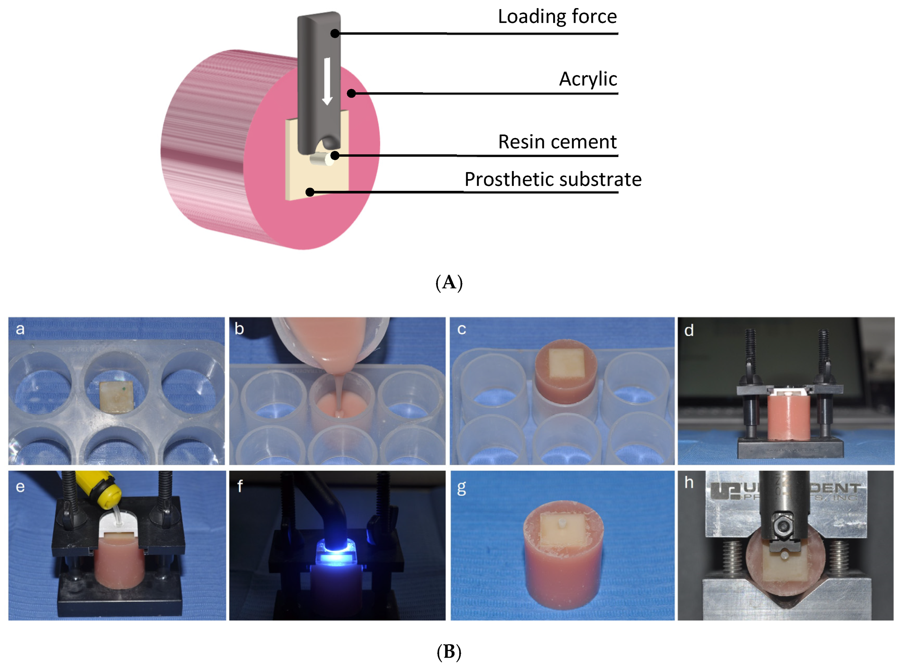 Coatings 15 00896 g002