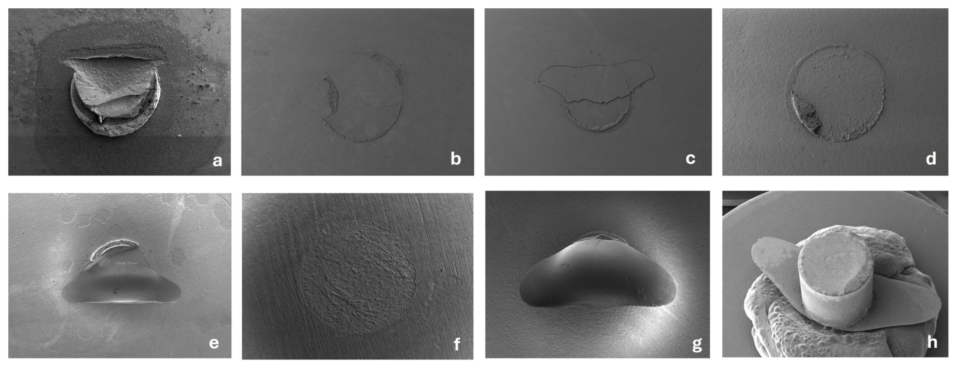 Coatings 15 00896 g004