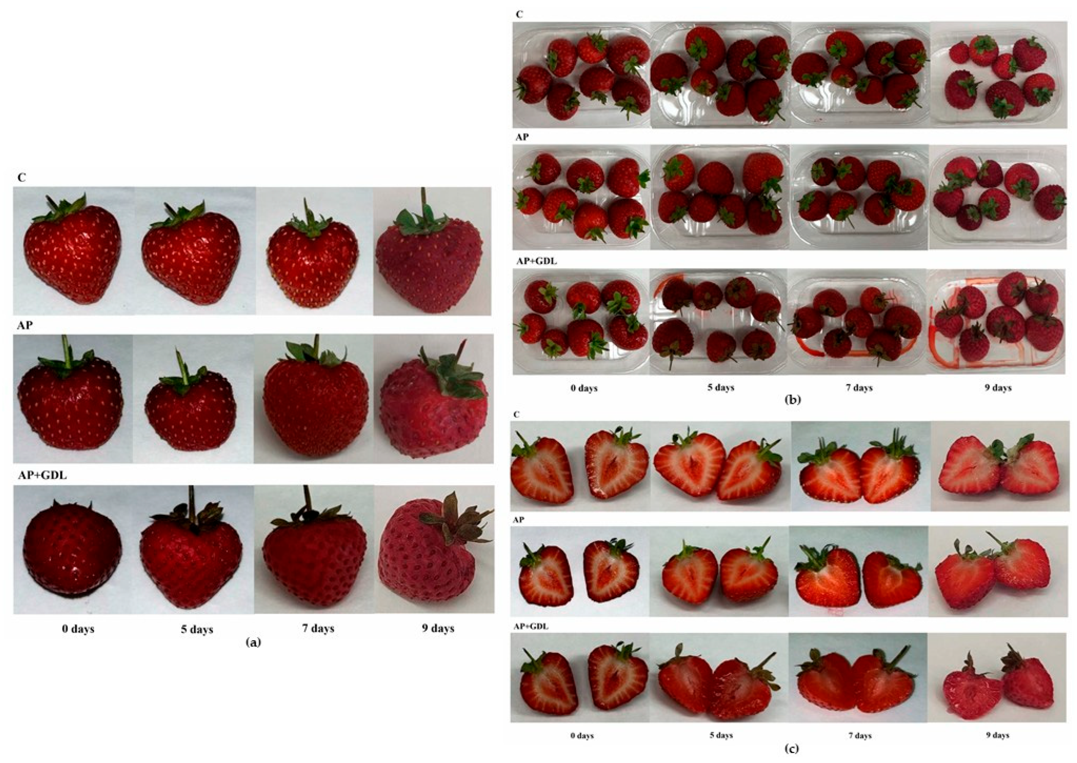 Coatings 15 00903 g005