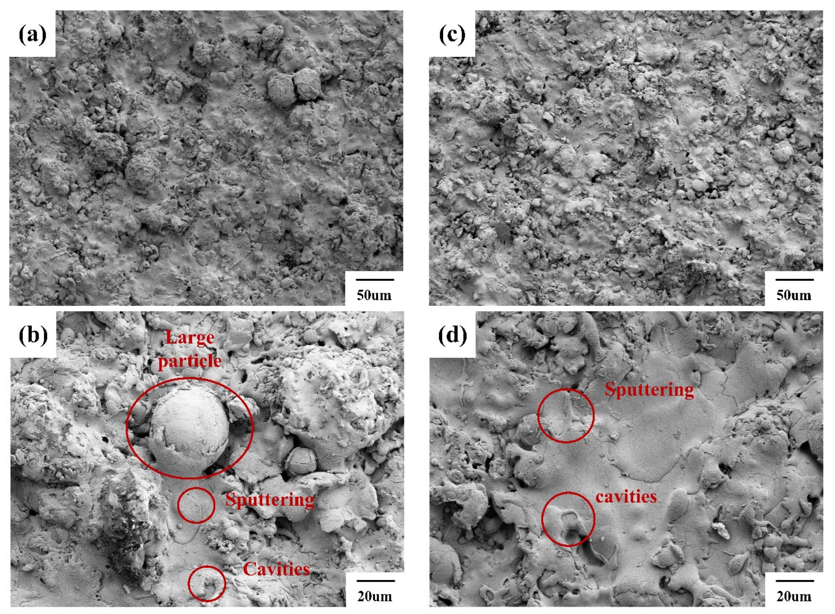 Coatings 15 00904 g011