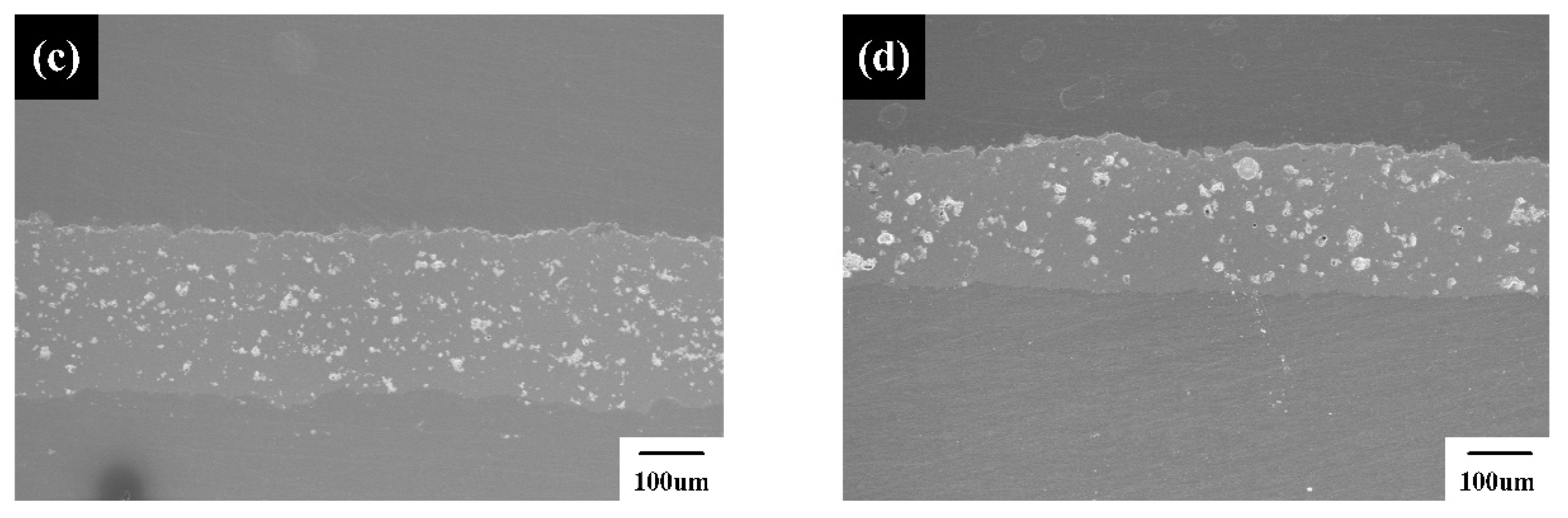 Coatings 15 00904 g012b