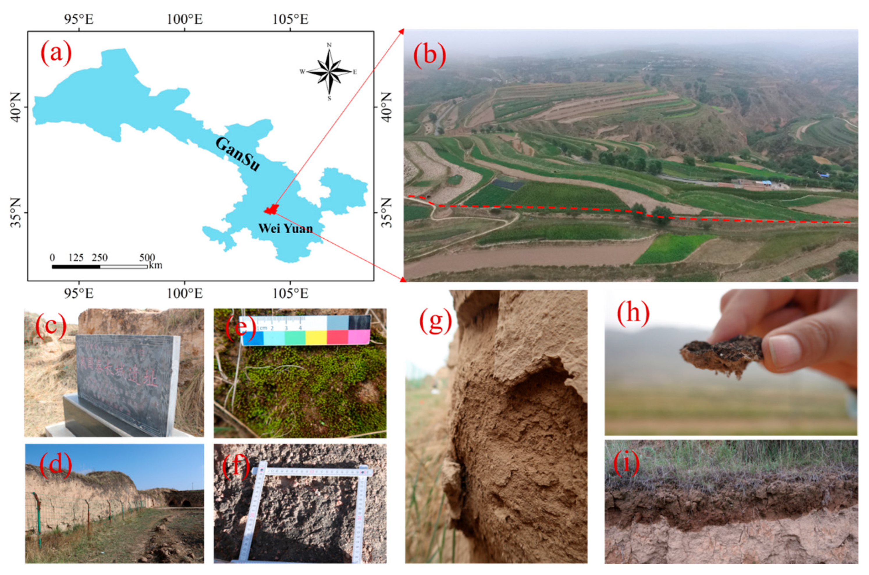 Coatings 15 00908 g001