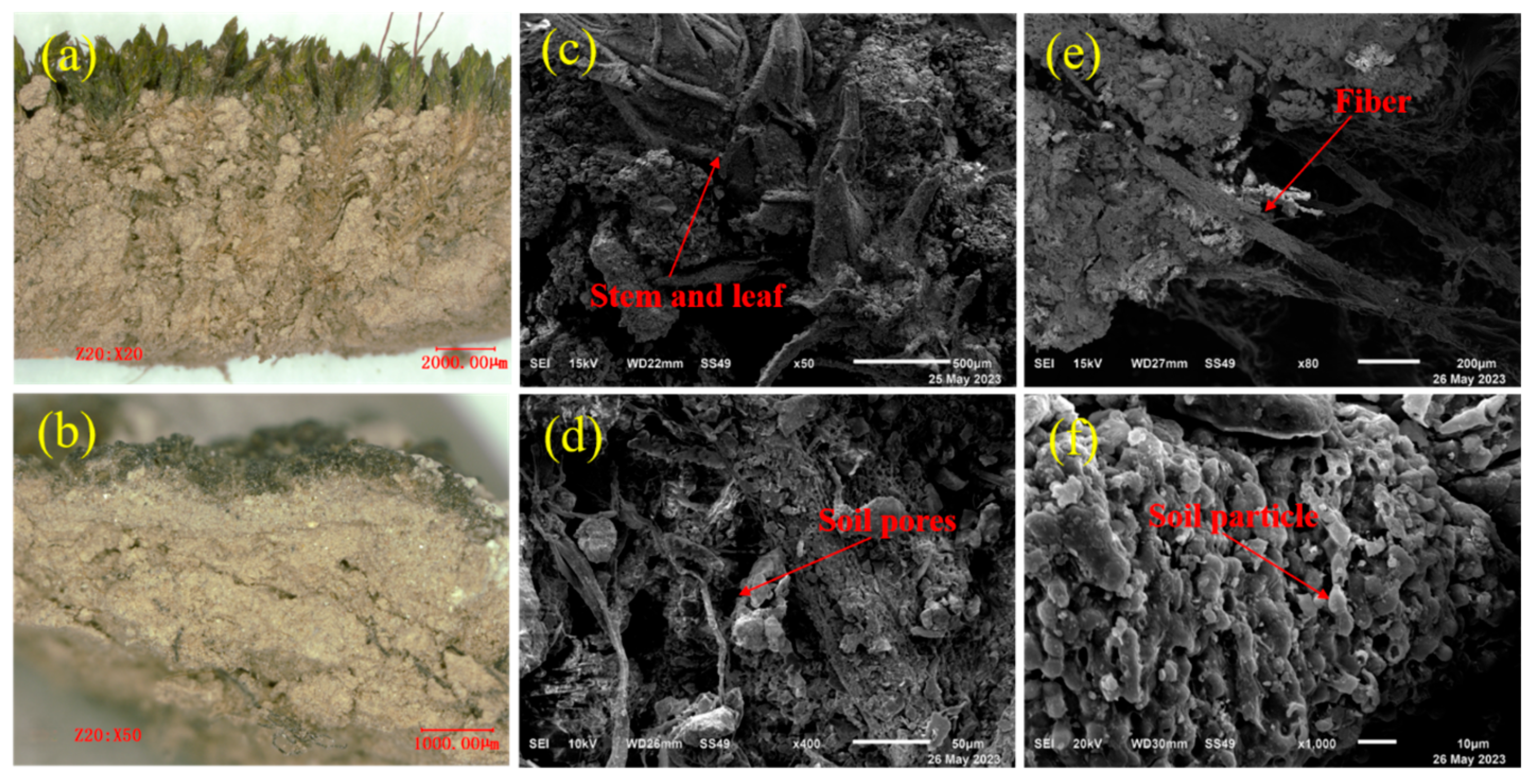 Coatings 15 00908 g002