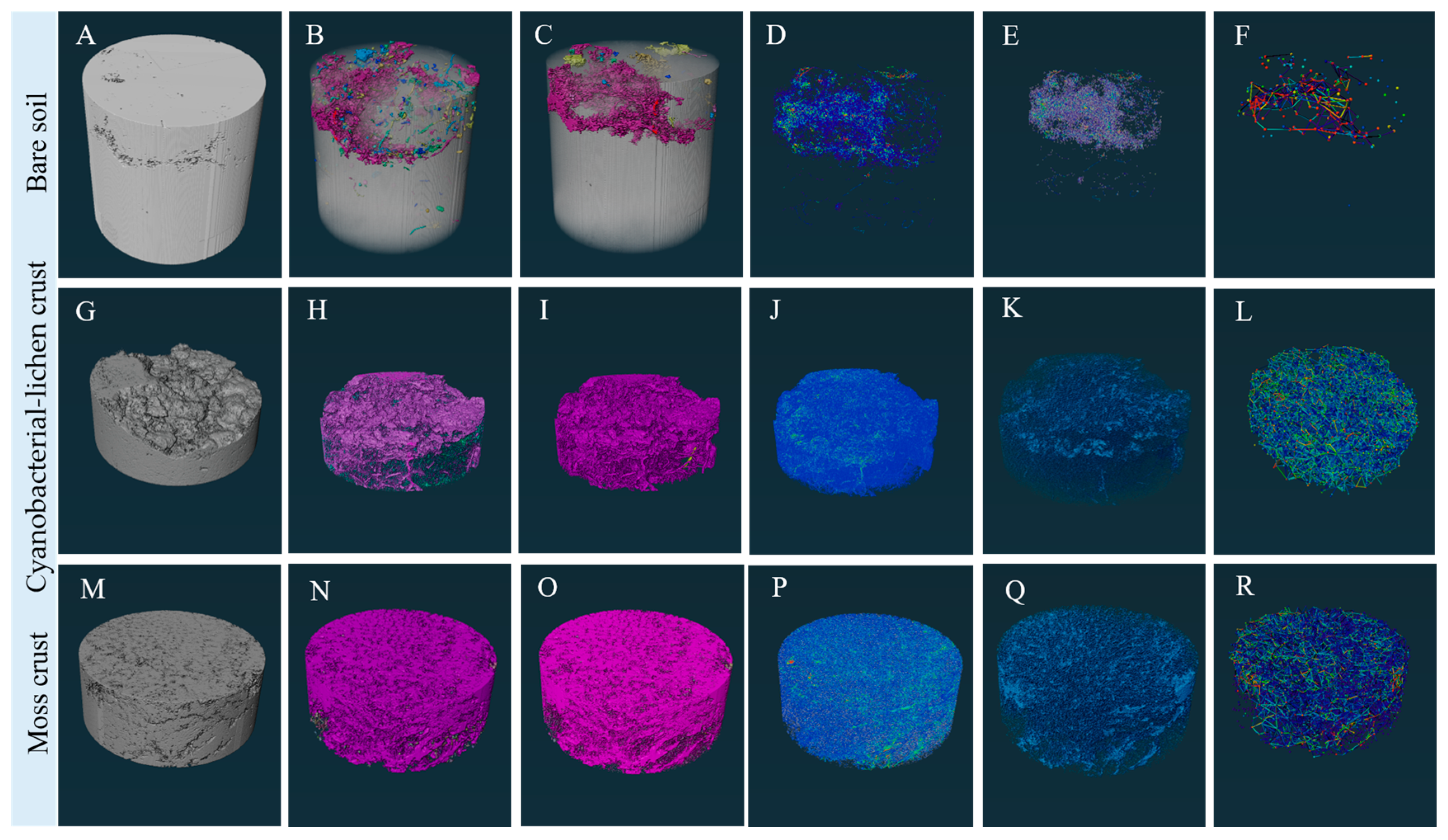 Coatings 15 00908 g005