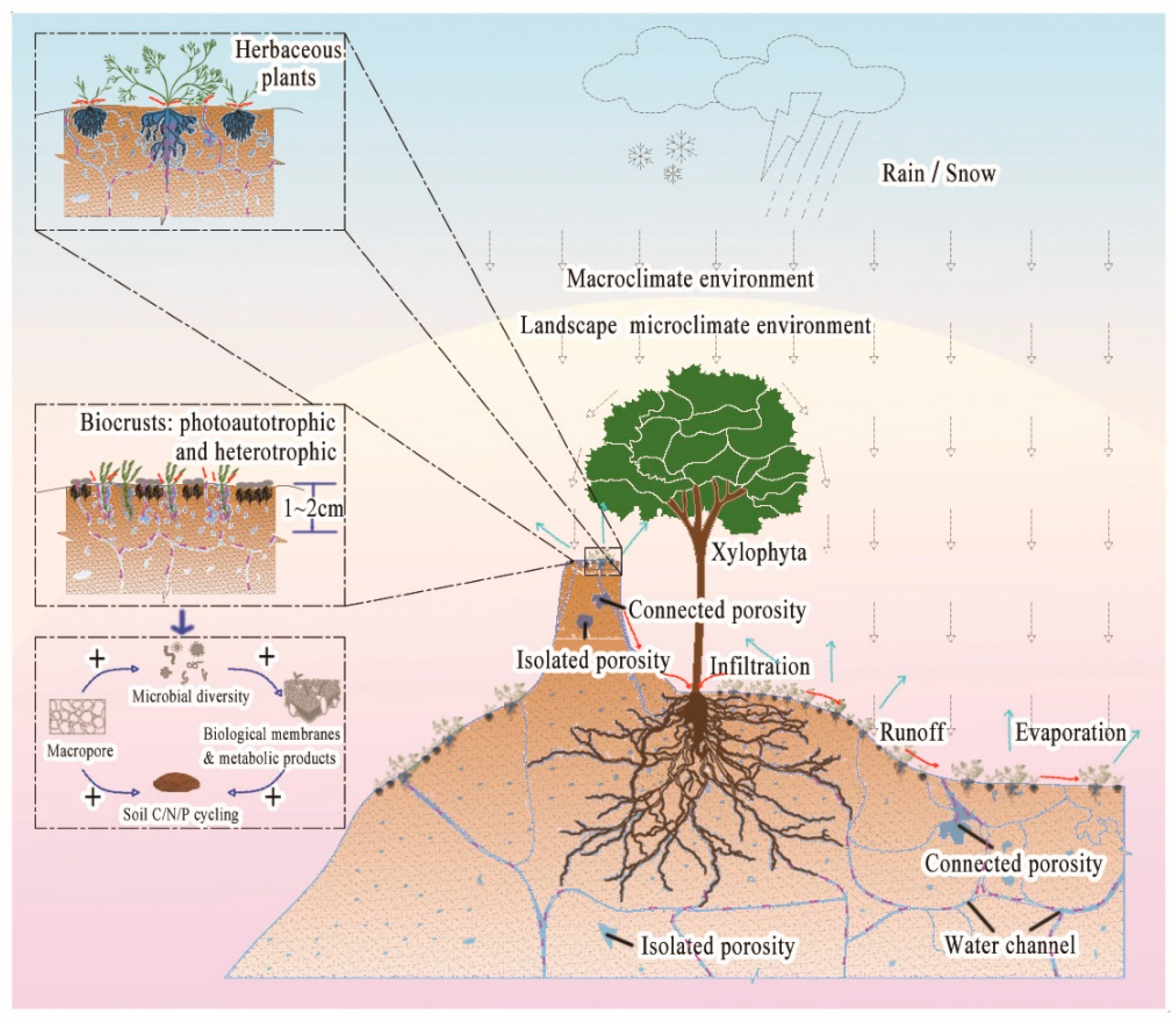 Coatings 15 00908 g009