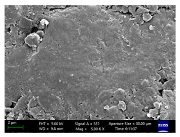 Coatings 15 00909 i017