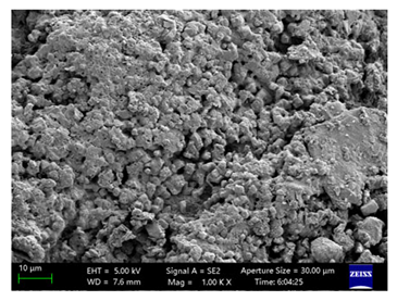 Coatings 15 00909 i028