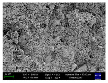 Coatings 15 00909 i040