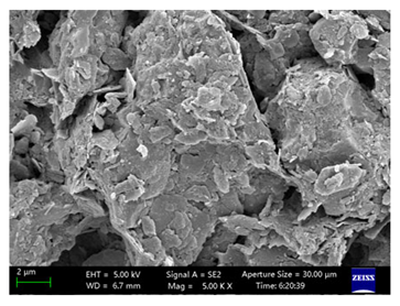 Coatings 15 00909 i042