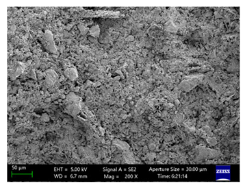 Coatings 15 00909 i045