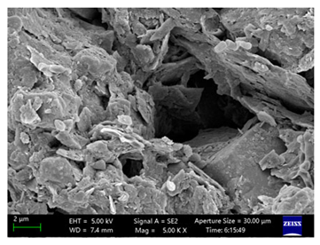 Coatings 15 00909 i047