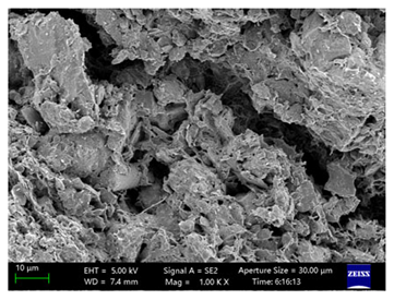 Coatings 15 00909 i048