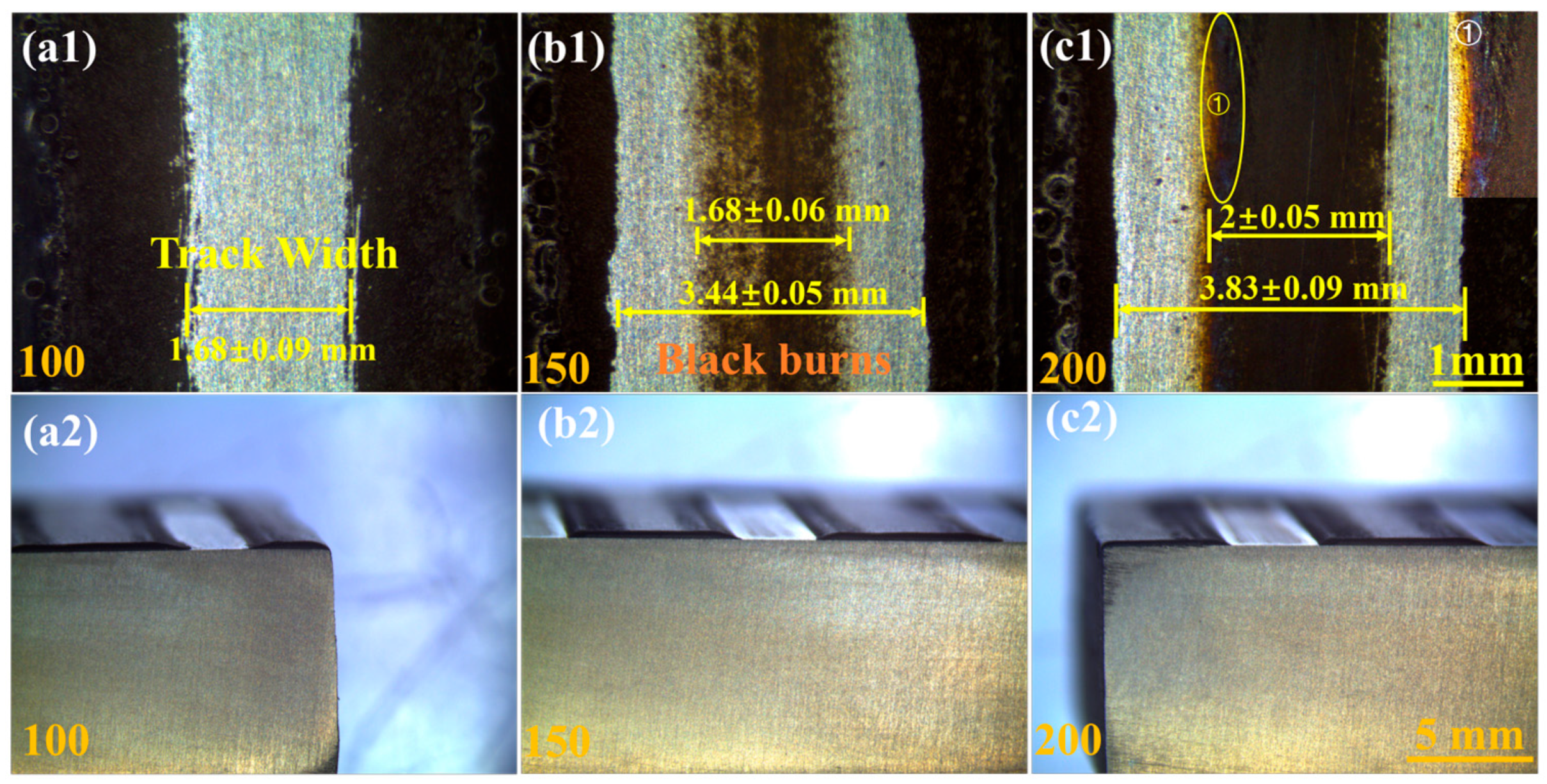 Coatings 15 00916 g004