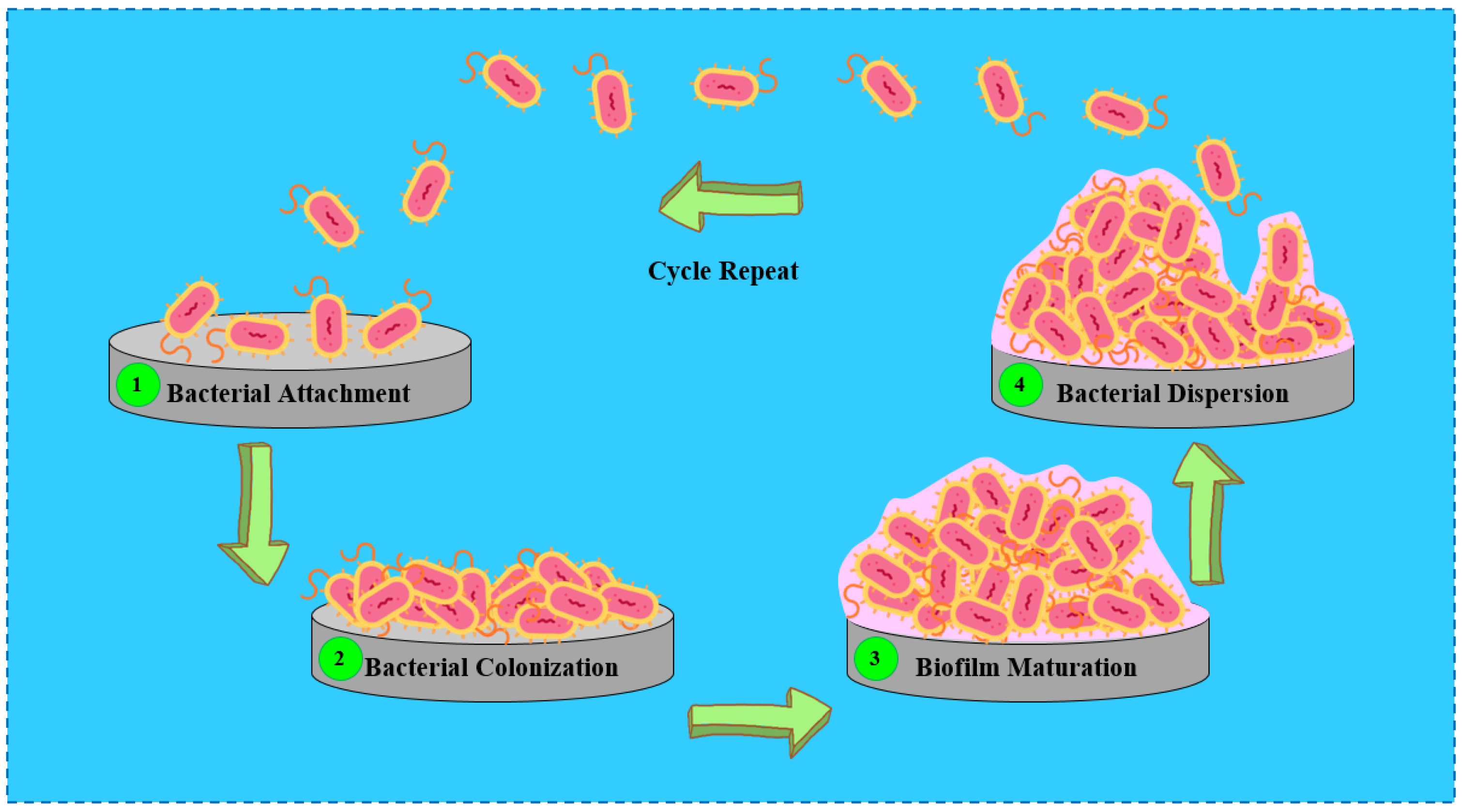 Coatings 15 00925 g001 Coatings 15 00925 g001
