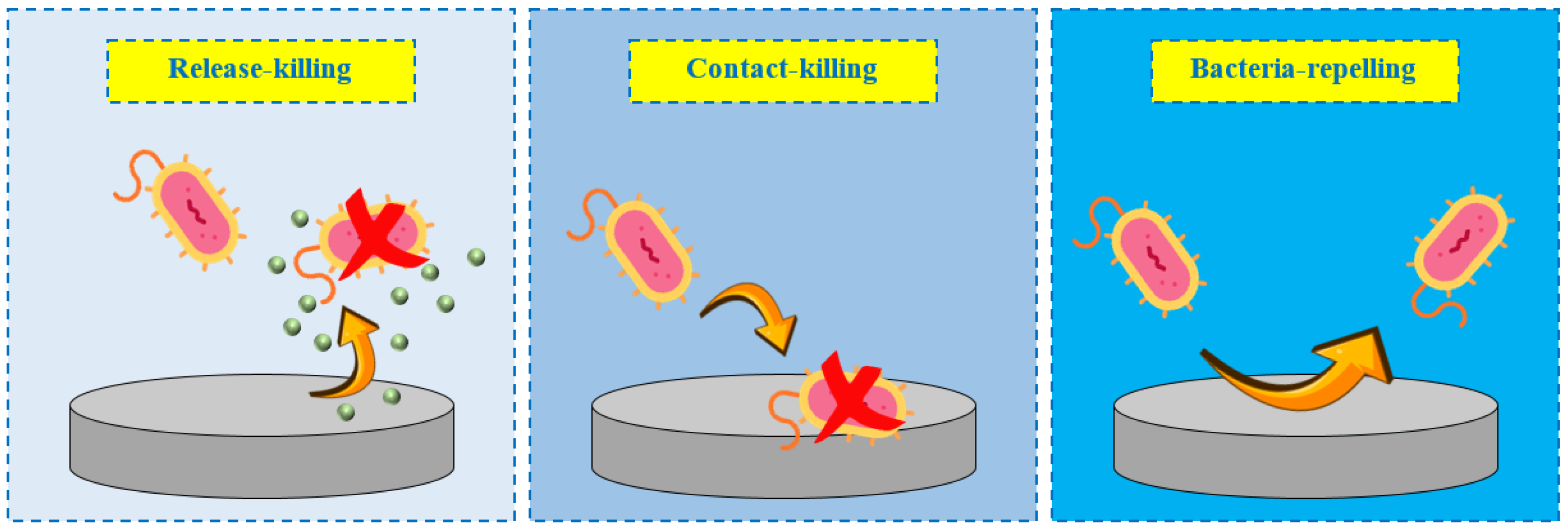 Coatings 15 00925 g002 Coatings 15 00925 g002