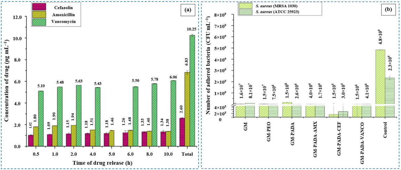 Coatings 15 00925 g003 Coatings 15 00925 g003