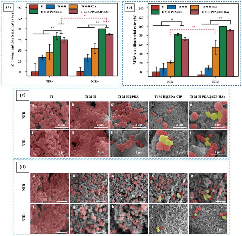 Coatings 15 00925 g004 Coatings 15 00925 g004