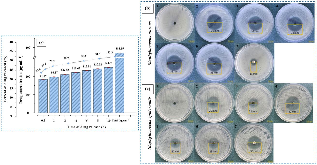 Coatings 15 00925 g005 Coatings 15 00925 g005