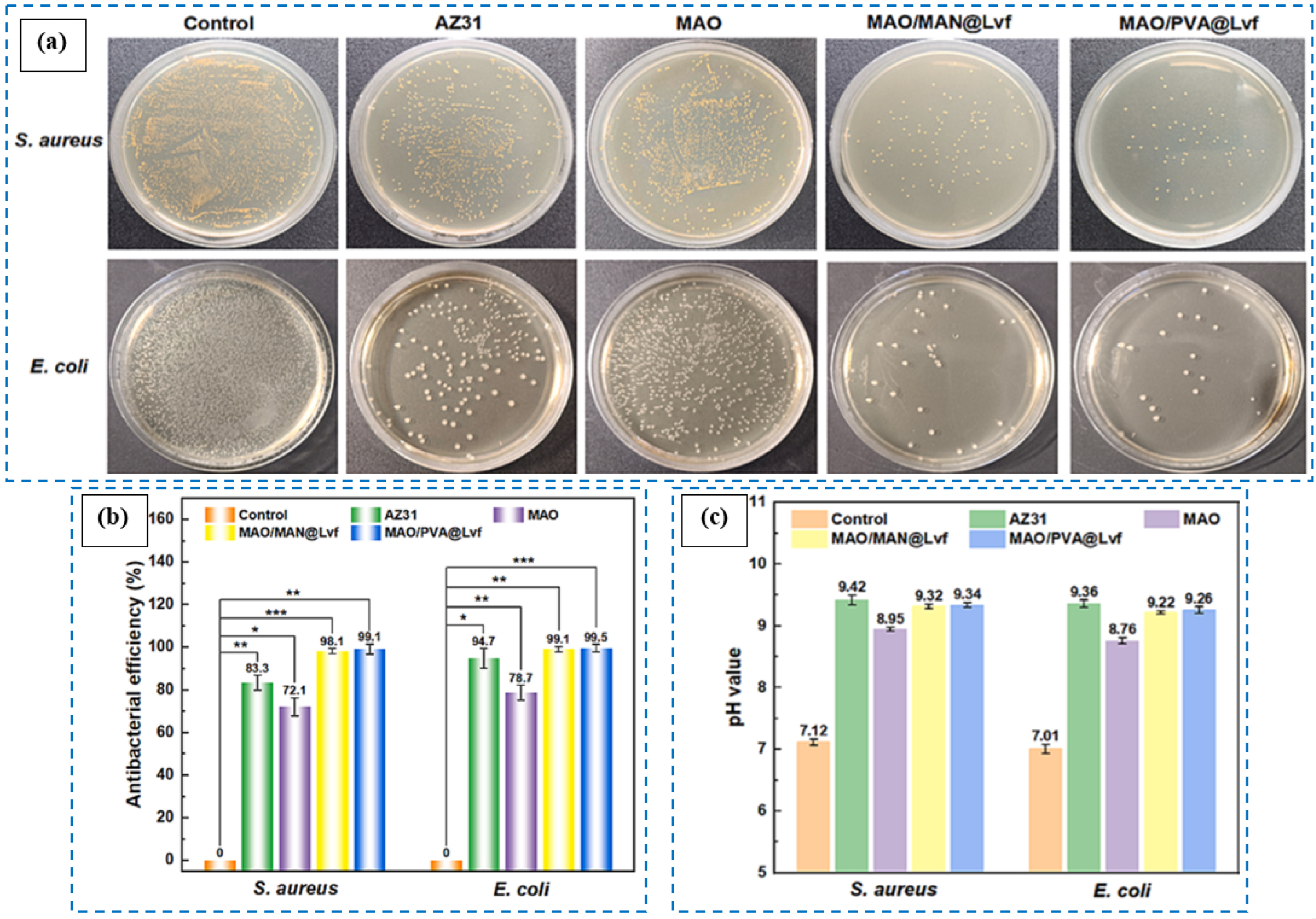 Coatings 15 00925 g006 Coatings 15 00925 g006